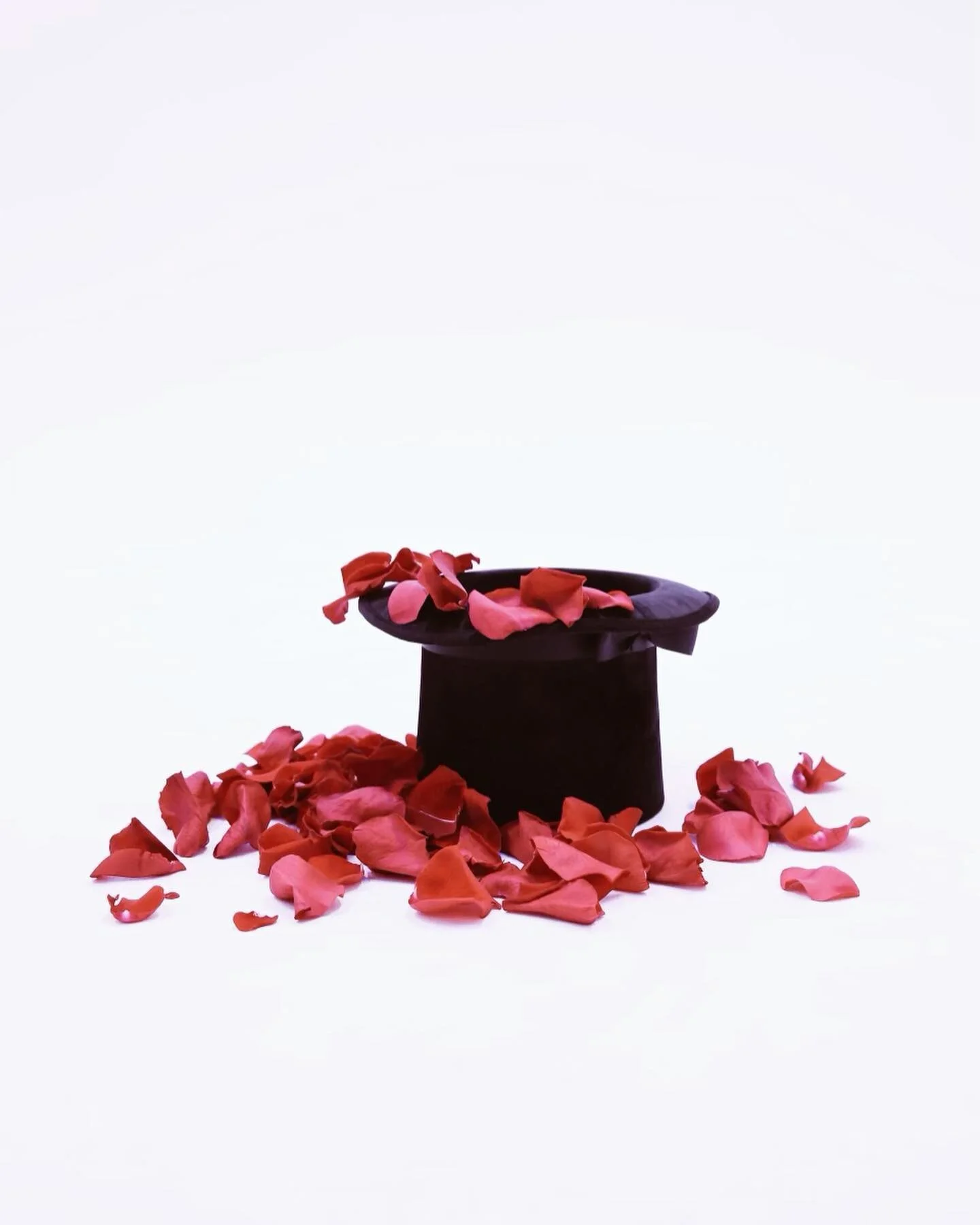 &ldquo;Roses as I Can Still Smell Them&rdquo; 🌹 🥀 🌹 🥀 🌹
Season 2 is just upon us, Can&rsquo;t wait to share the next steps&hellip;
🪄 🎩 🪄 

📸: @mikeshoe__