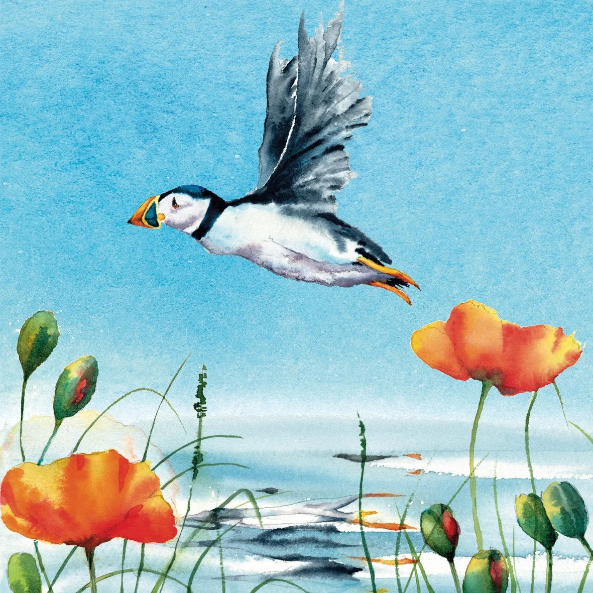 Poppies and Puffin greetings card by the Eco Friendly Card Company featuring a puffin illustration by Rachel Toll