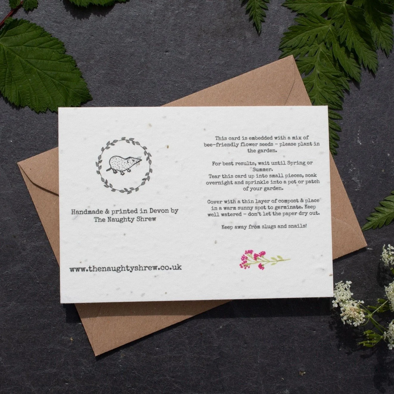 Plantable wildflower meadow birthday card made from seed paper, eco-friendly greeting card that grows into wildflowers by The Naughty Shrew