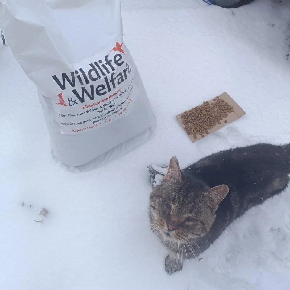 Update: Sterilisation Clinics and Urgent Food Aid in Ukraine