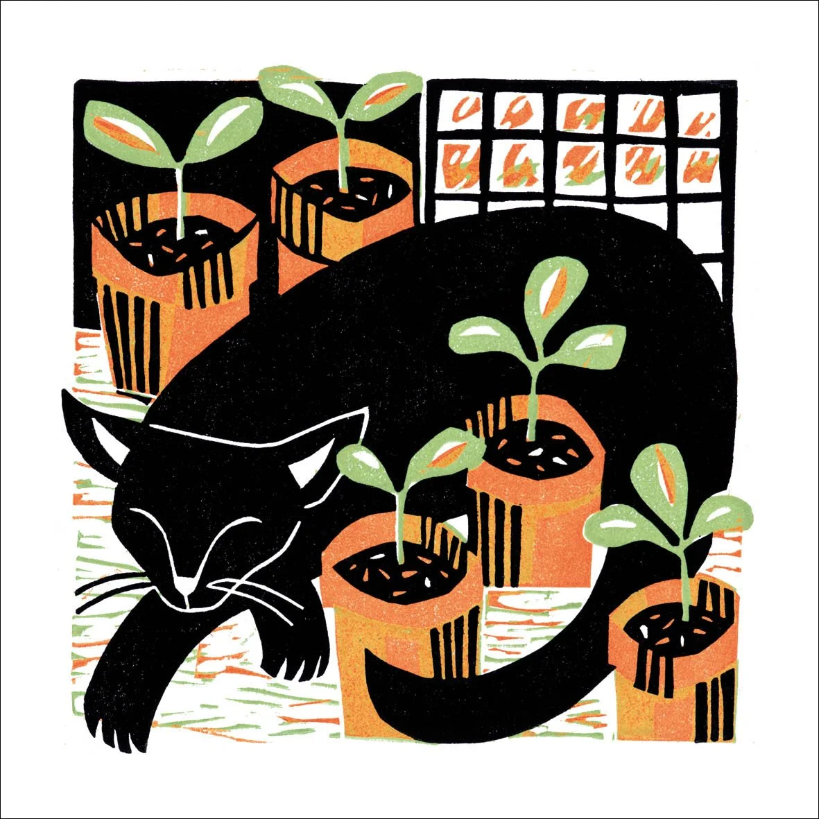 Amongst The Seedlings greetings card by the Eco Friendly Card Company featuring a cat illustration by Manda Beeching