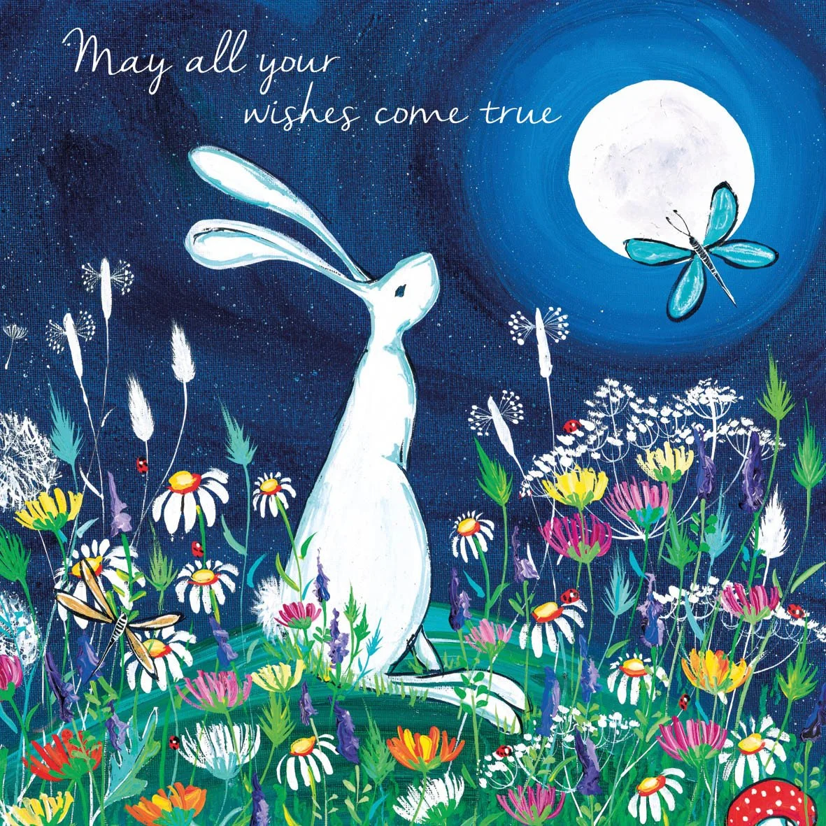 May All Your Wishes Come True greetings card by the Eco Friendly Card Company featuring a rabbit illustration by Kate Andrew
