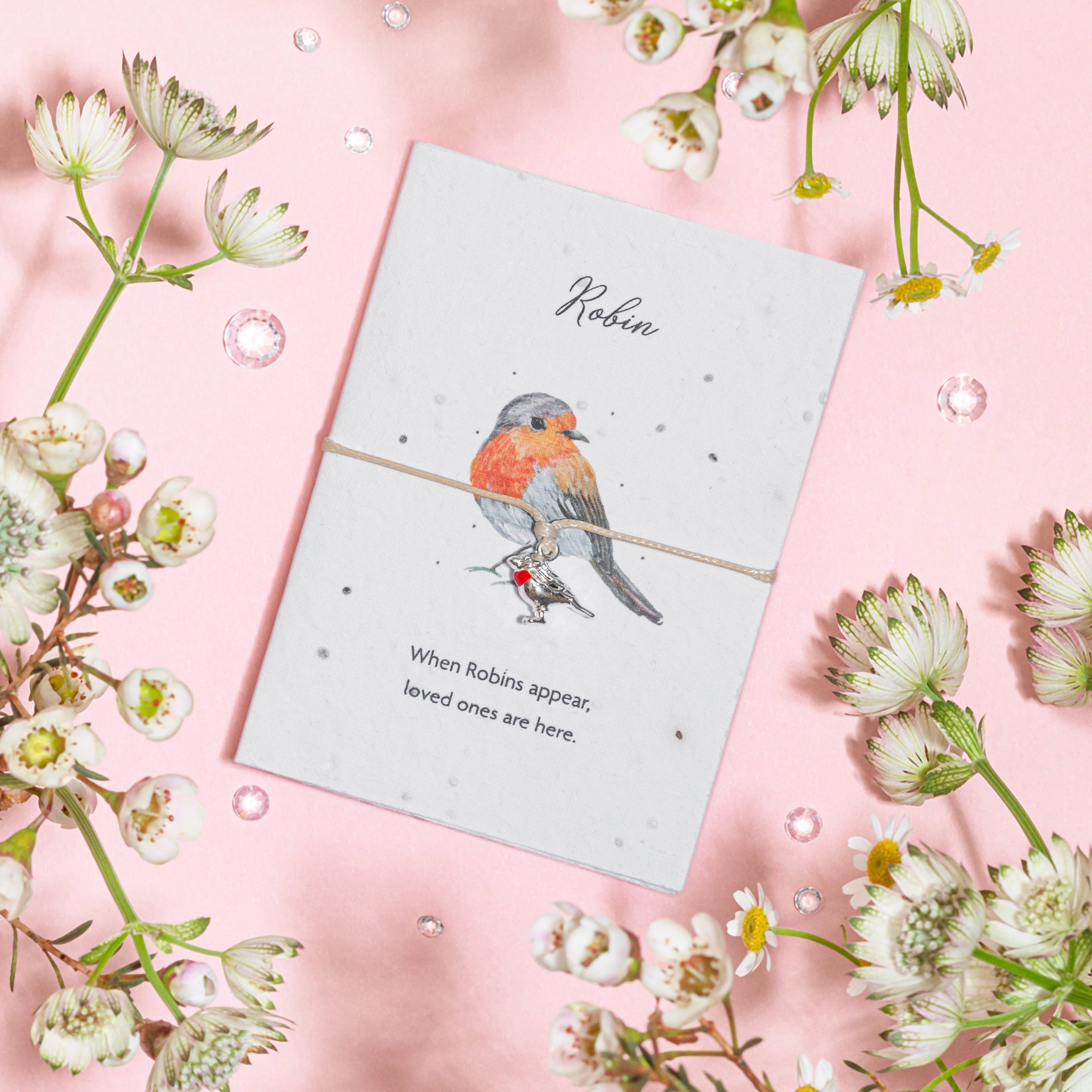 The Little Robin - Seeded Card & Wish Bracelet