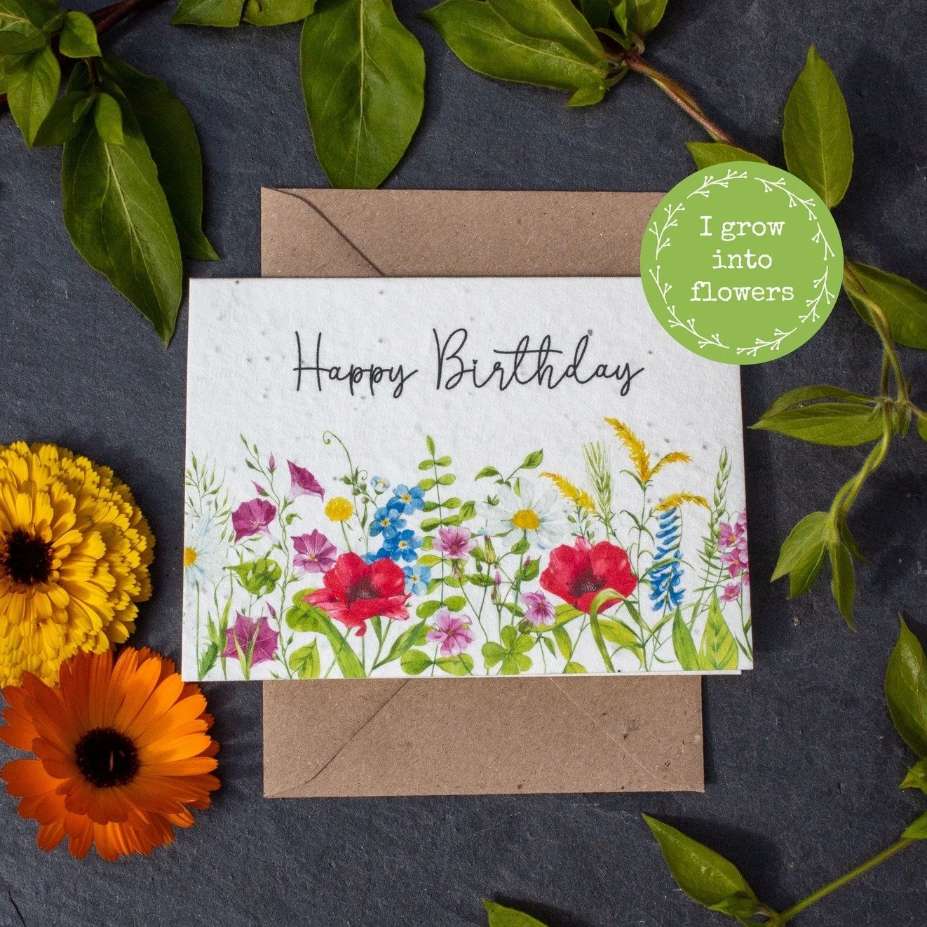 Plantable wildflower meadow birthday card made from seed paper, eco-friendly greeting card that grows into wildflowers by The Naughty Shrew