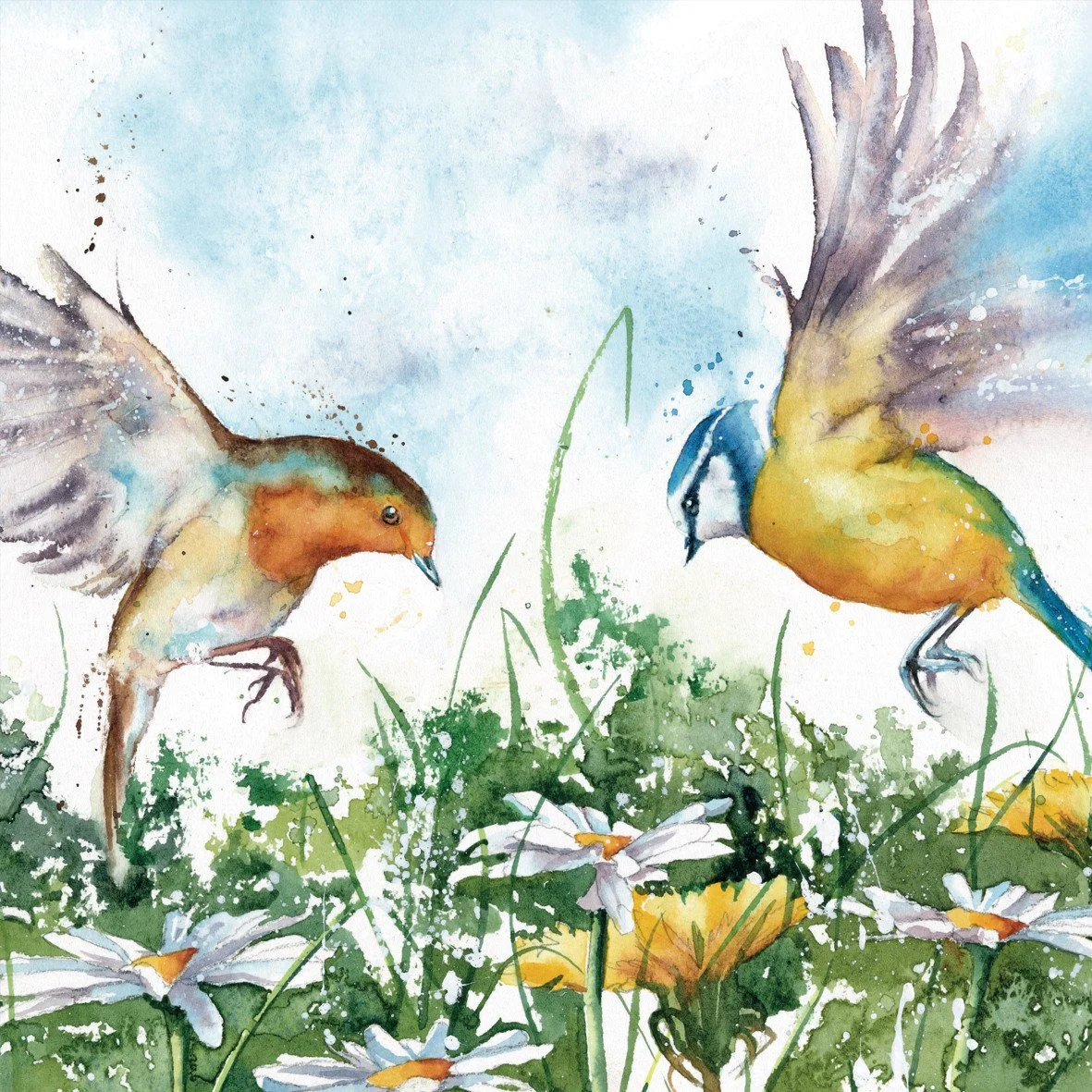 Flying Over Daisies greetings card by the Eco Friendly Card Company featuring a robin and blue tit illustration by Rachel Toll