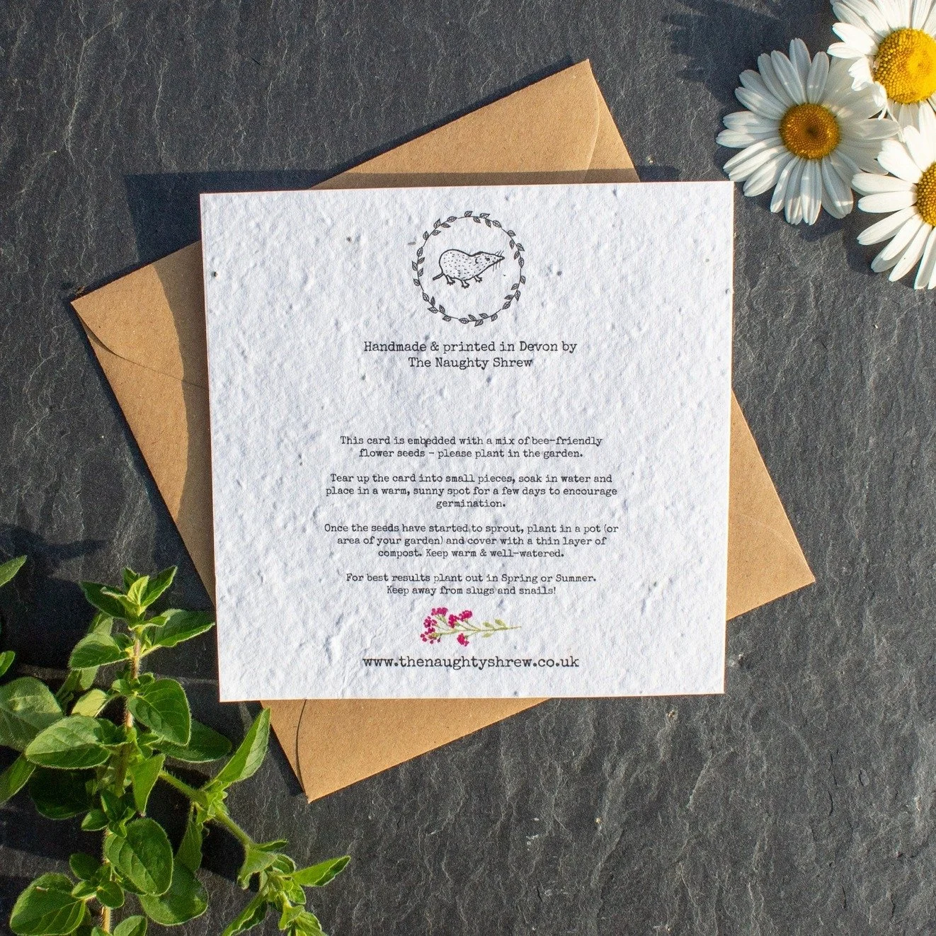 Plantable flower wreath birthday card made from seed paper, eco-friendly greeting card that grows into wildflowers by The Naughty Shrew