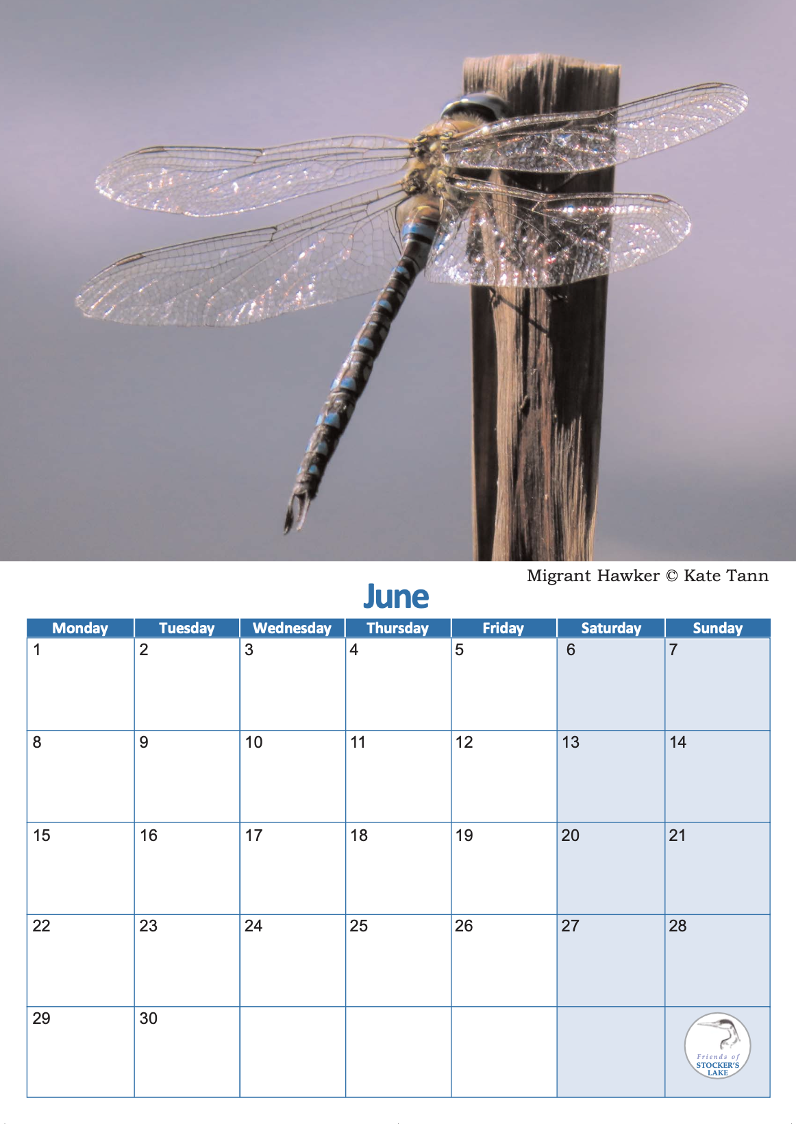 FoSL 2026 wall calendar 7.png