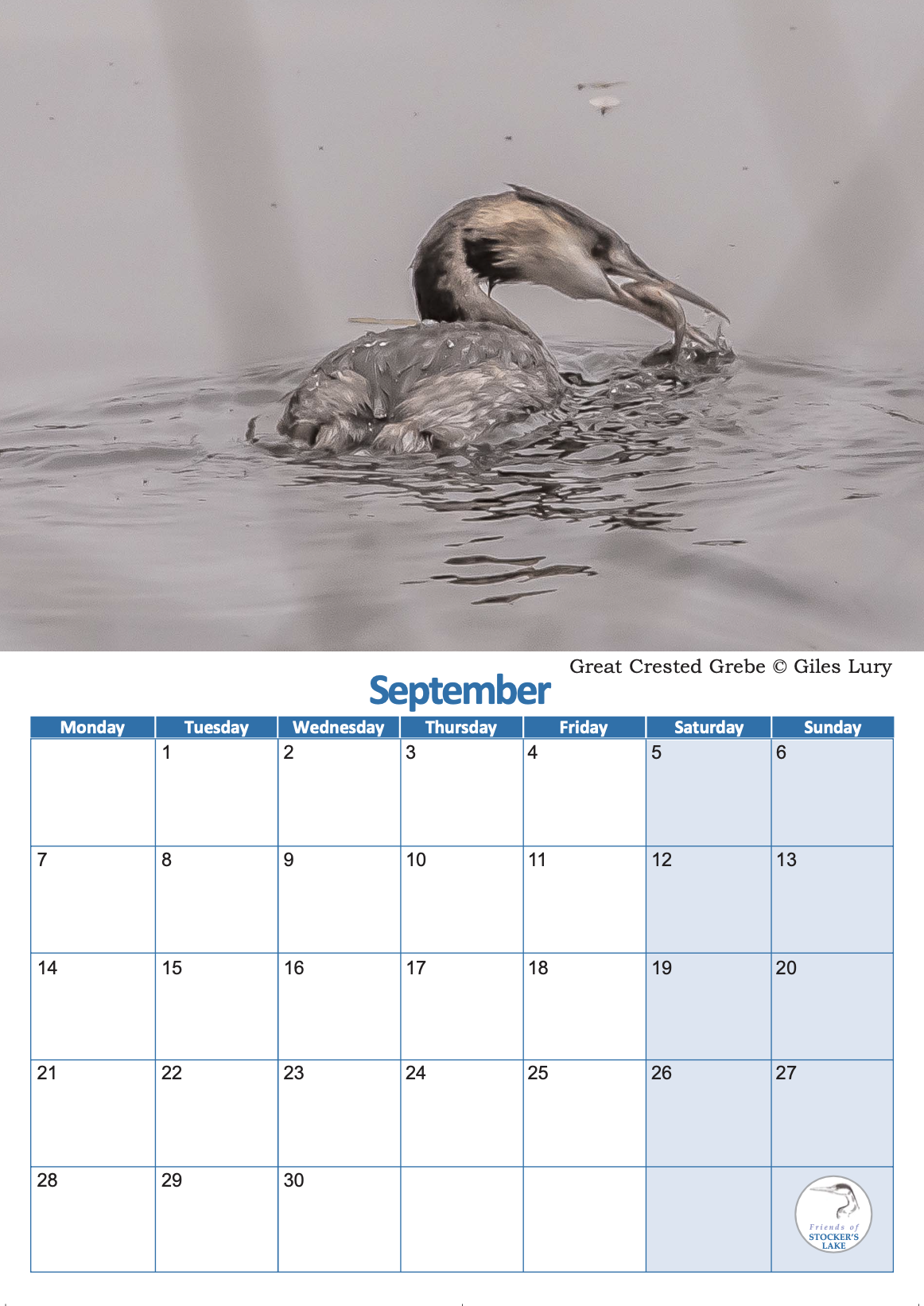FoSL 2026 wall calendar 10.png