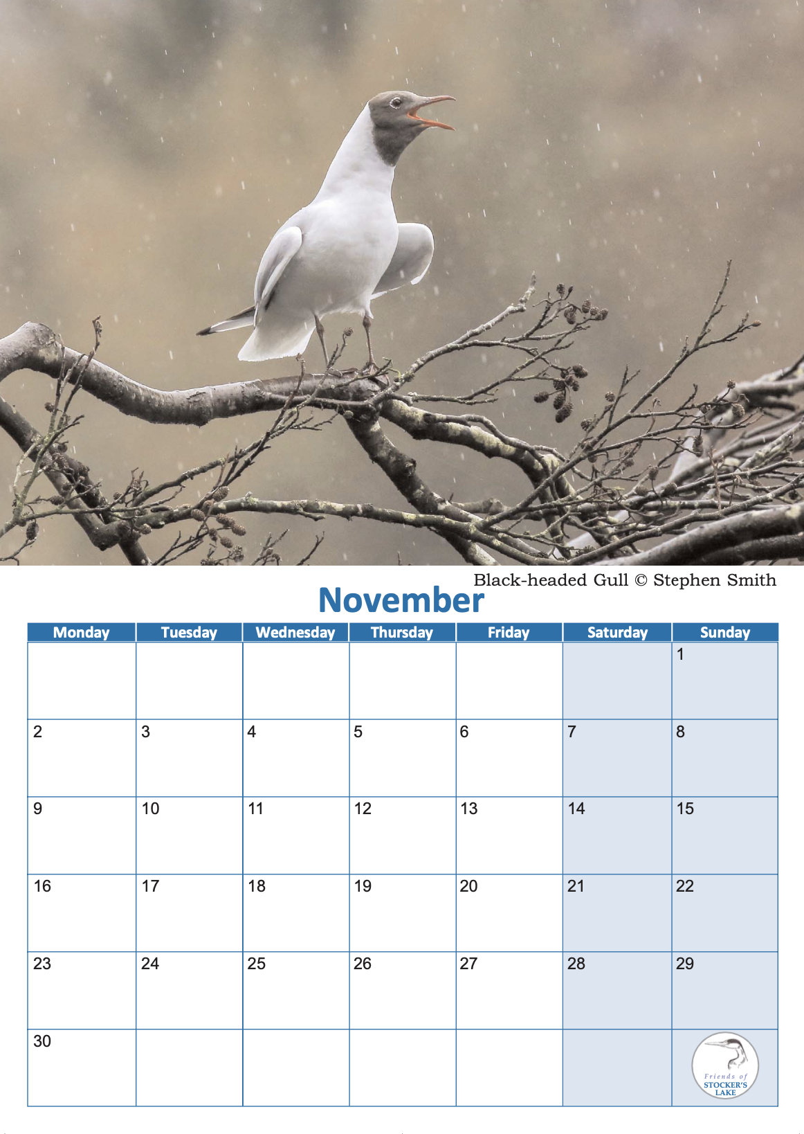 FoSL 2026 wall calendar 12.png