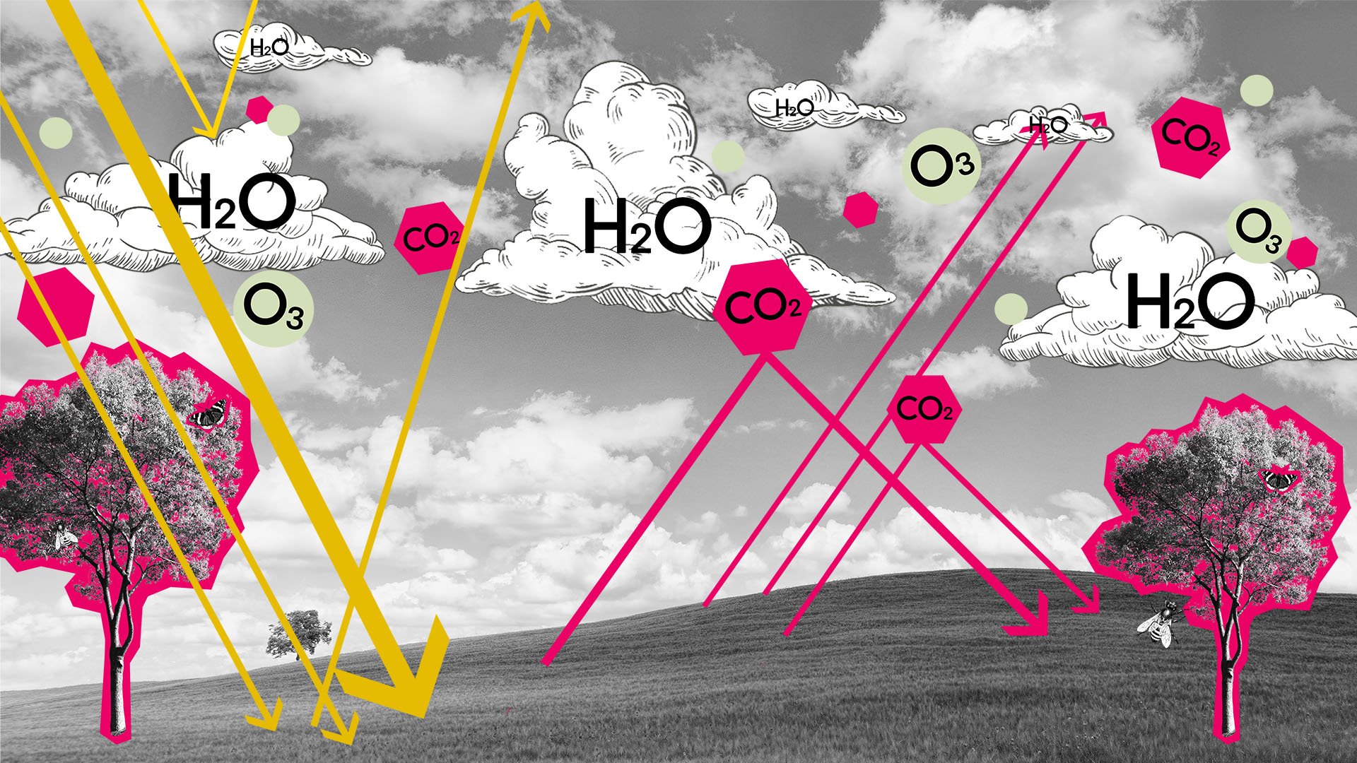 Kurzwellige Sonnenstrahlen werden auf der Erde in langwellige Infrarotstrahlen umgewandelt und wieder reflektiert. Spurengase wie zB. CO2  lassen jedoch nur wenige langwellige Strahlung durch, sondern reflektieren sie wieder zur Erde.