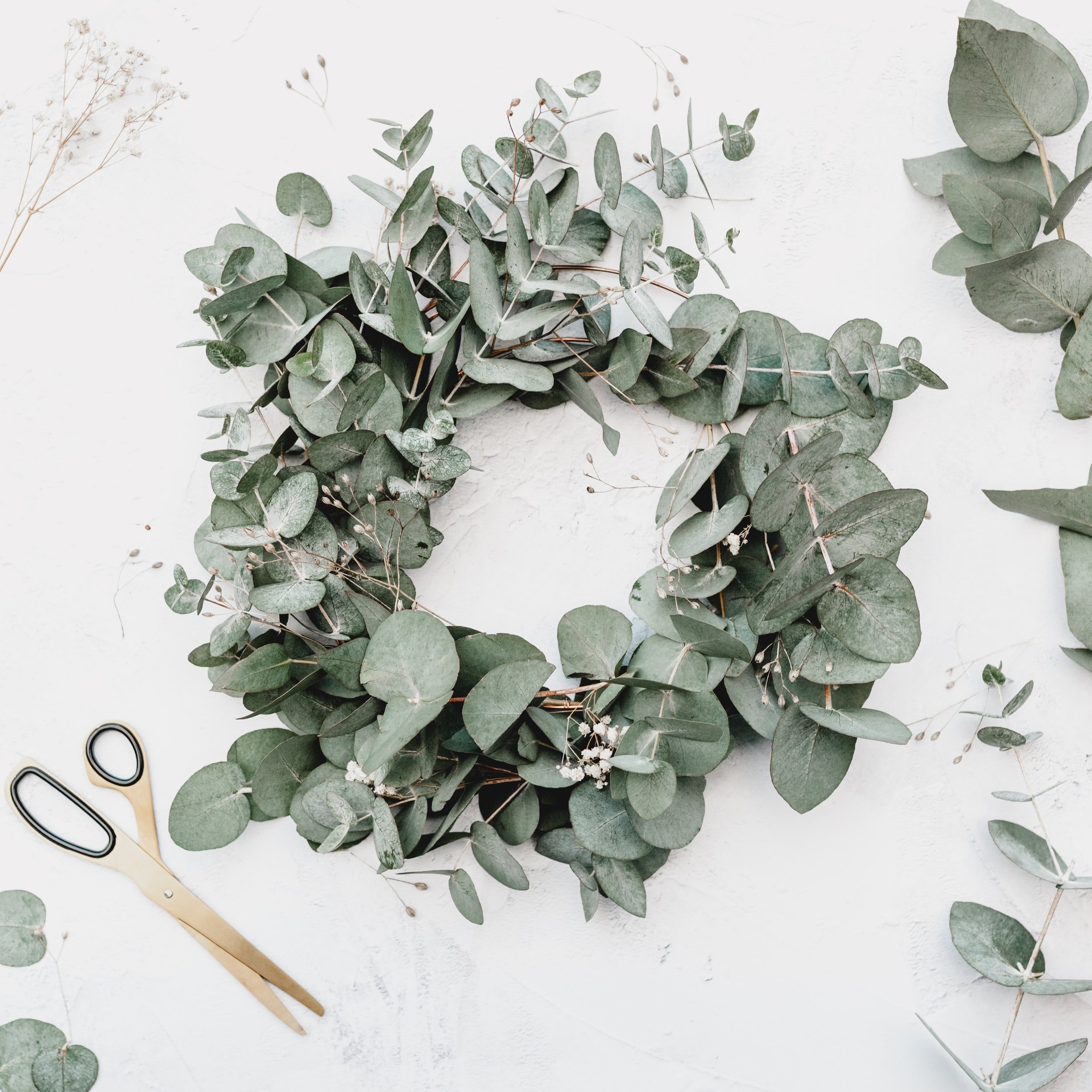 unsplash-image-rTFwYeWGU-8.jpg