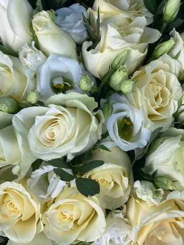 WhatsApp Image 2021-12-04 at 1.08.35 PM (1).jpeg