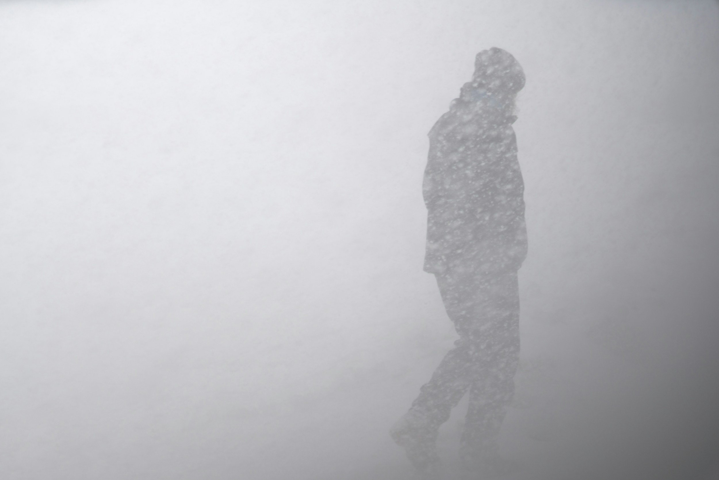 A Shotgun in a Blizzard