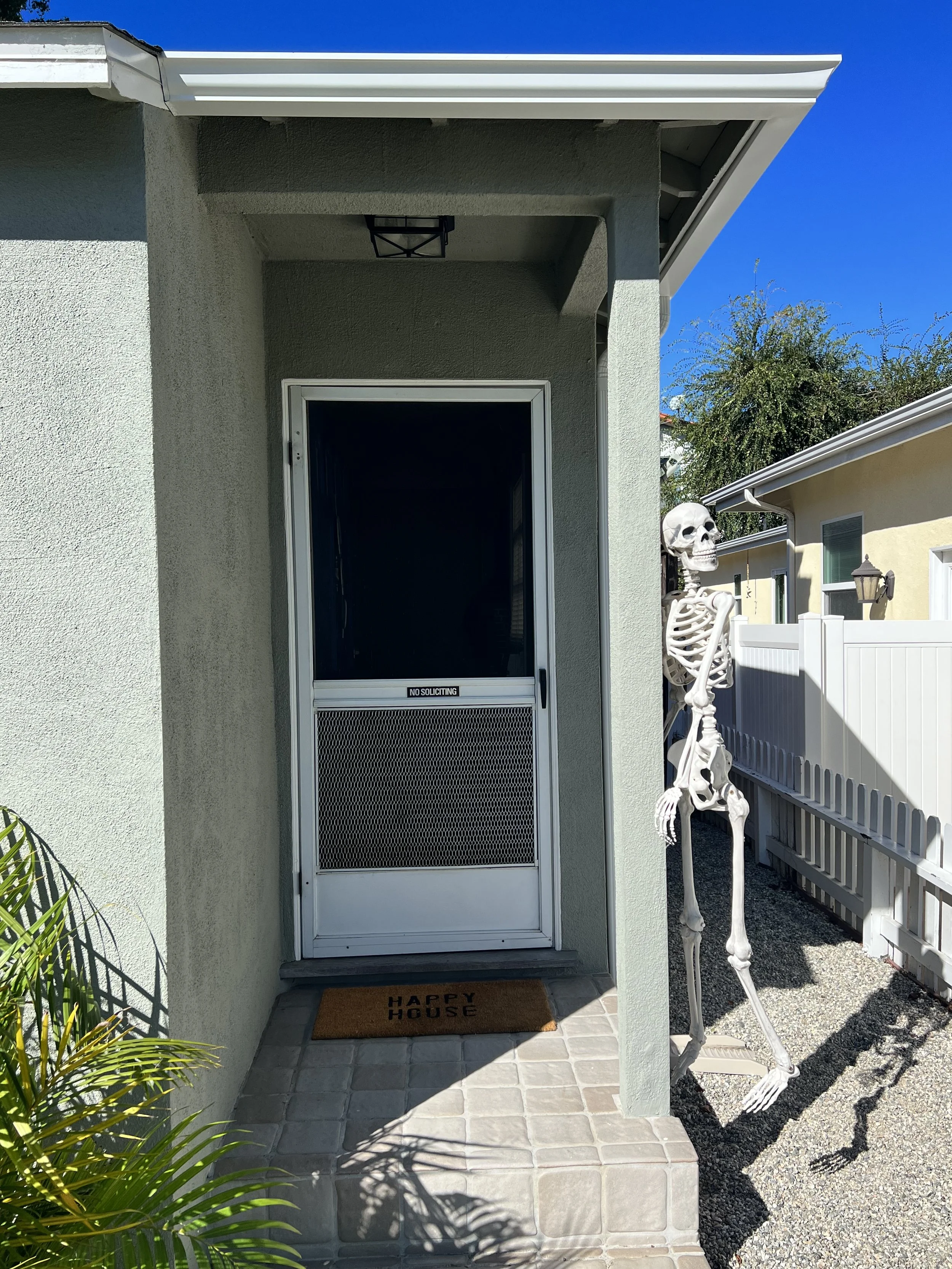 Lisack Front Door Before.JPG