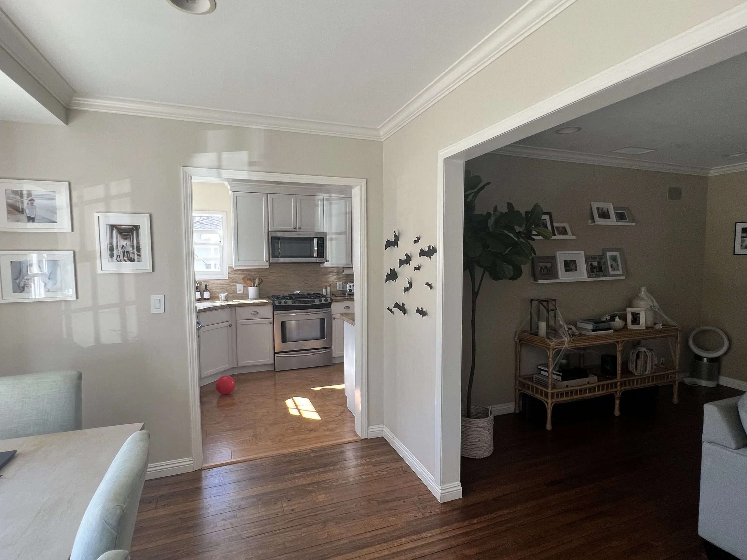 Lisack Kitchen Before.JPG