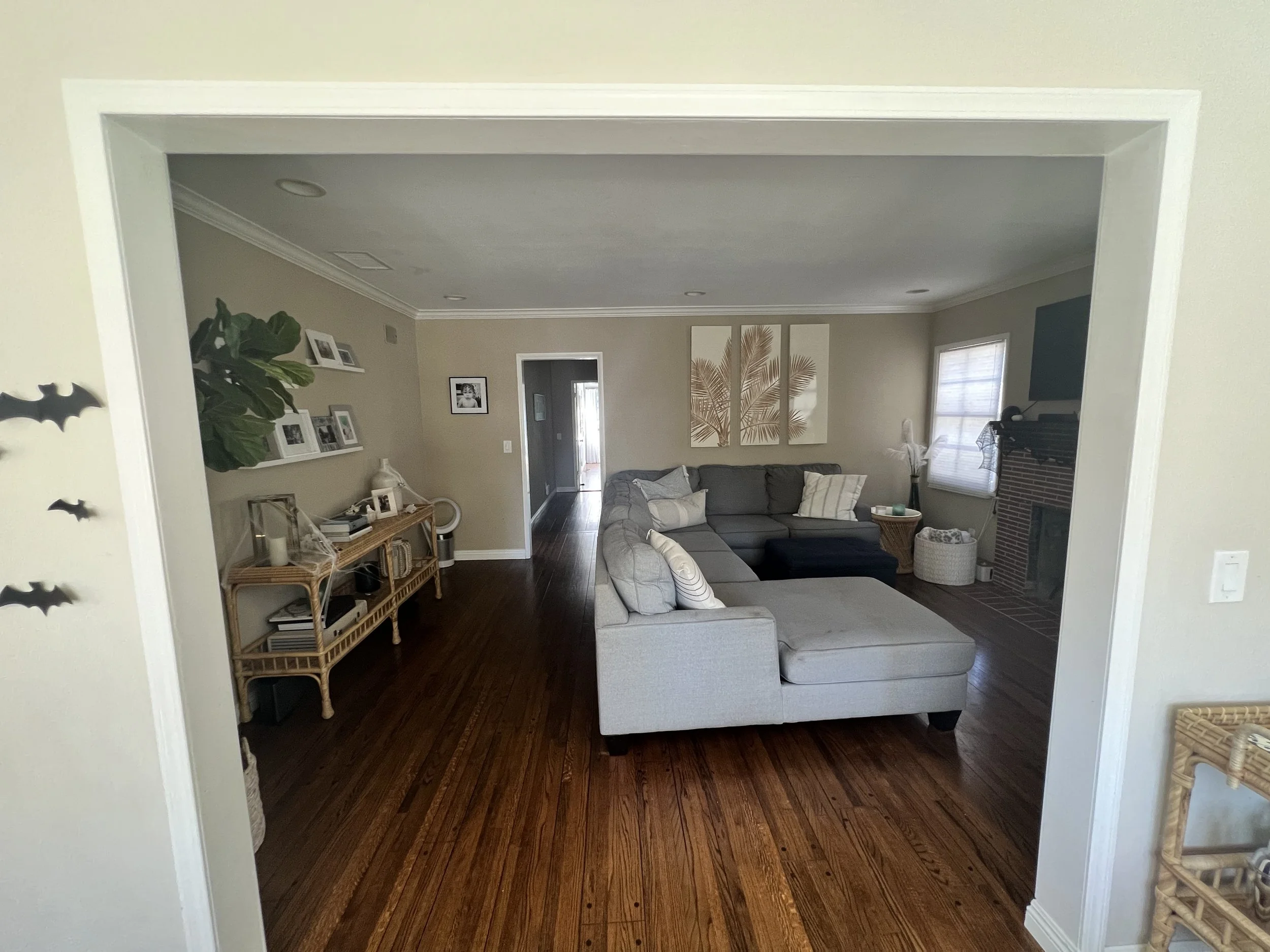 Lisack LR Before.JPG