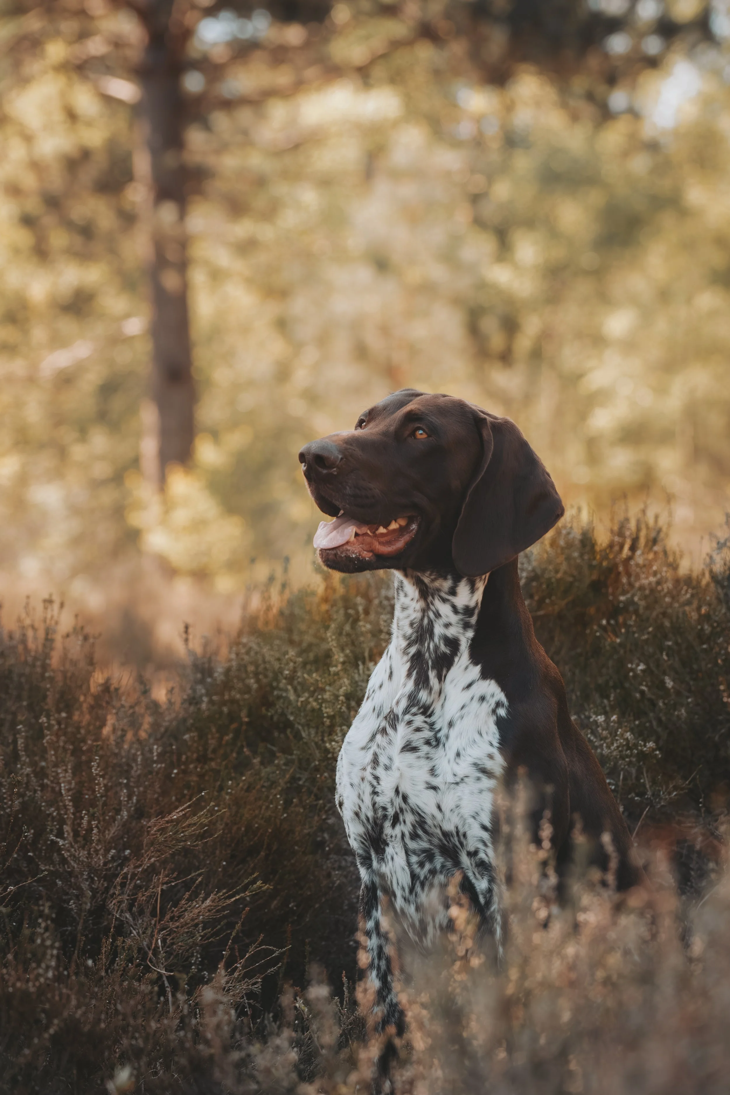 S0100 (80 van 196)-Verbeterd-NR.jpg