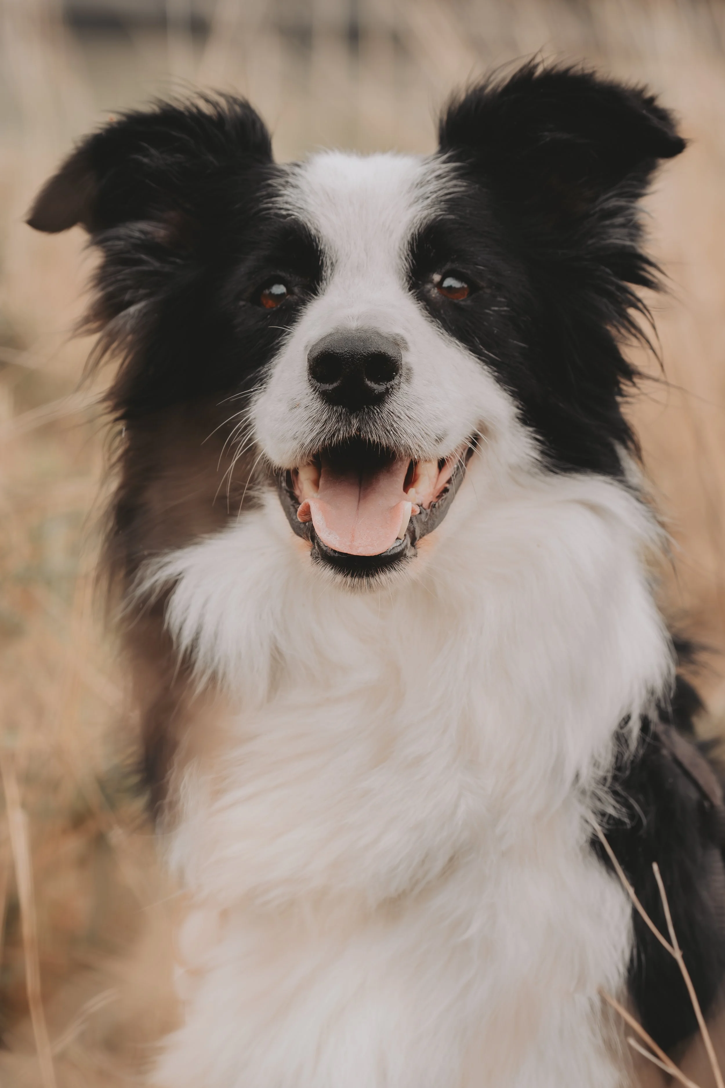 S0073 (109 van 326)-Verbeterd-NR-2.jpg