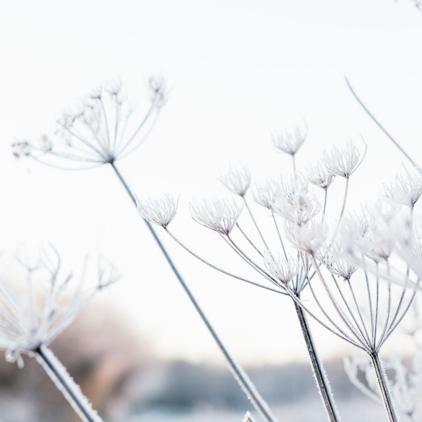 Stel je voor &hellip;&nbsp;

&hellip; je scrolt tijdens deze koude wintermaanden door Instagram en ziet een foto van een ondernemer die in T-shirt zit te werken, een zonnebril naast haar heeft liggen en waar de buitenplanten op de achtergrond in bloe