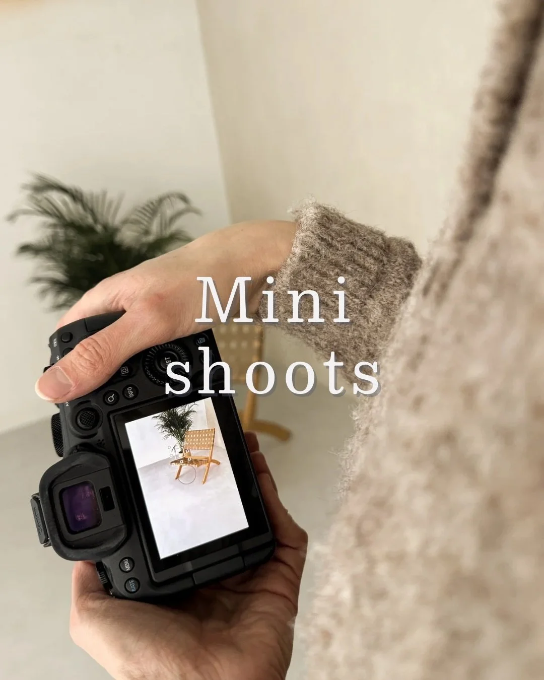 Deze week kreeg ik meermaals de vraag wanneer de volgende mini shoots doorgaan. 
Bij deze heb ik dus de datums voor februari en maart open gezet. (Want dat was ik dus uit het oog verloren 🫣)

Wil jij graag een korte shoot in de studio boeken? Dat ka