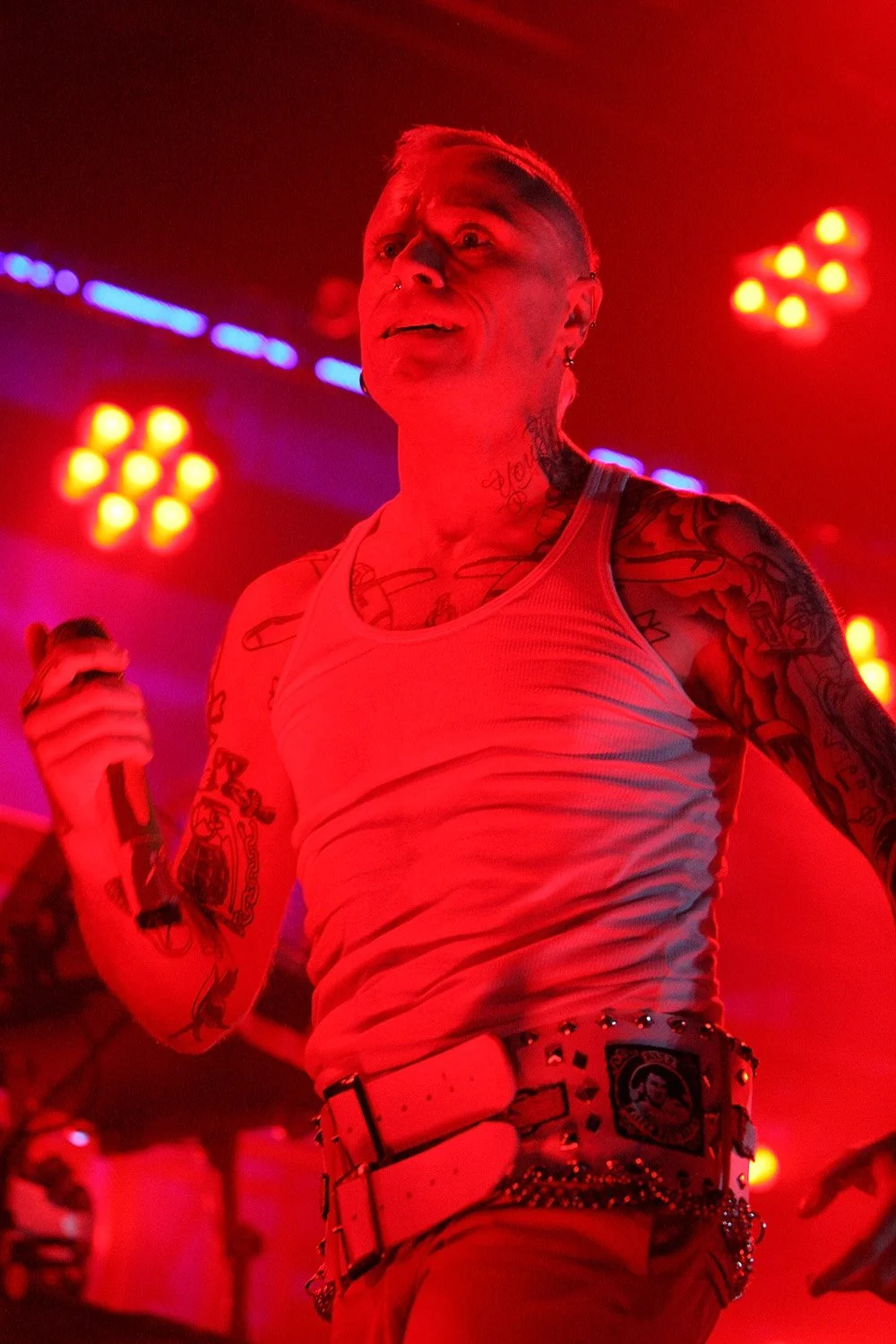 Prodigy 86883524 Web.jpg