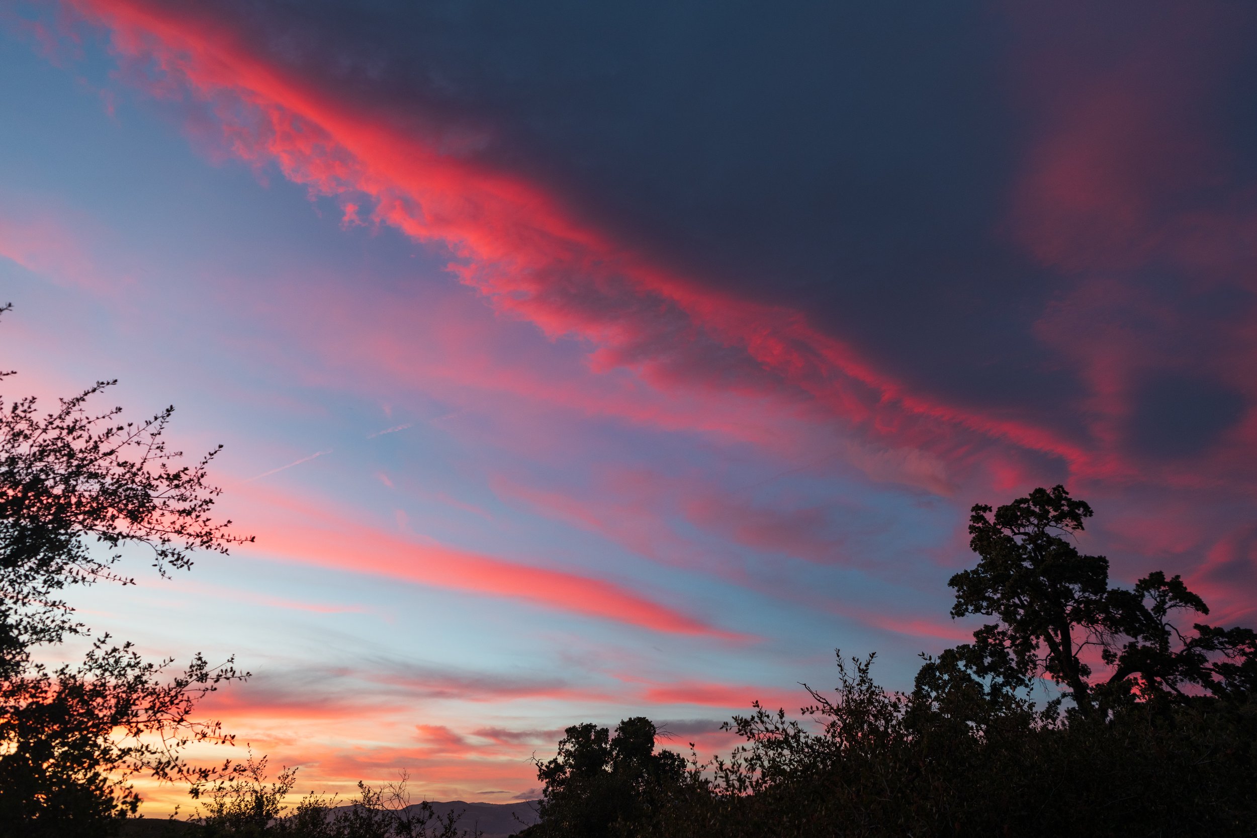 00E_6259.jpg
