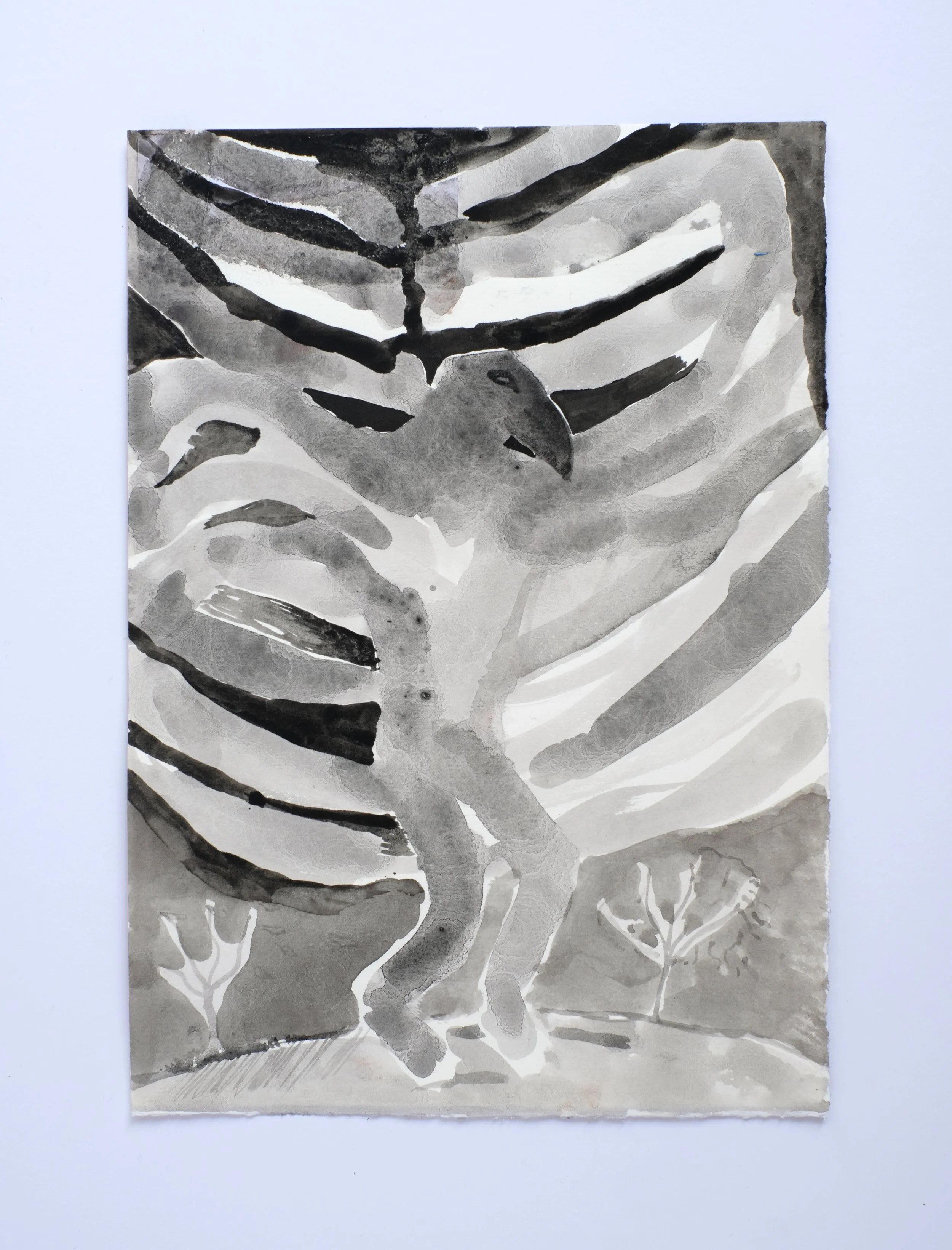 Bird Inside Of Me,
29.5cm x 21cm,
Oak Gall Ink On Paper