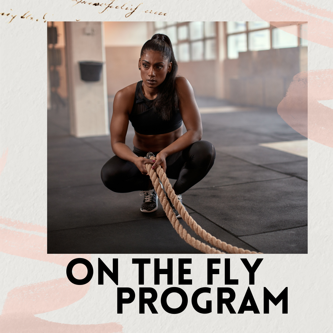 On The Fly Program.png