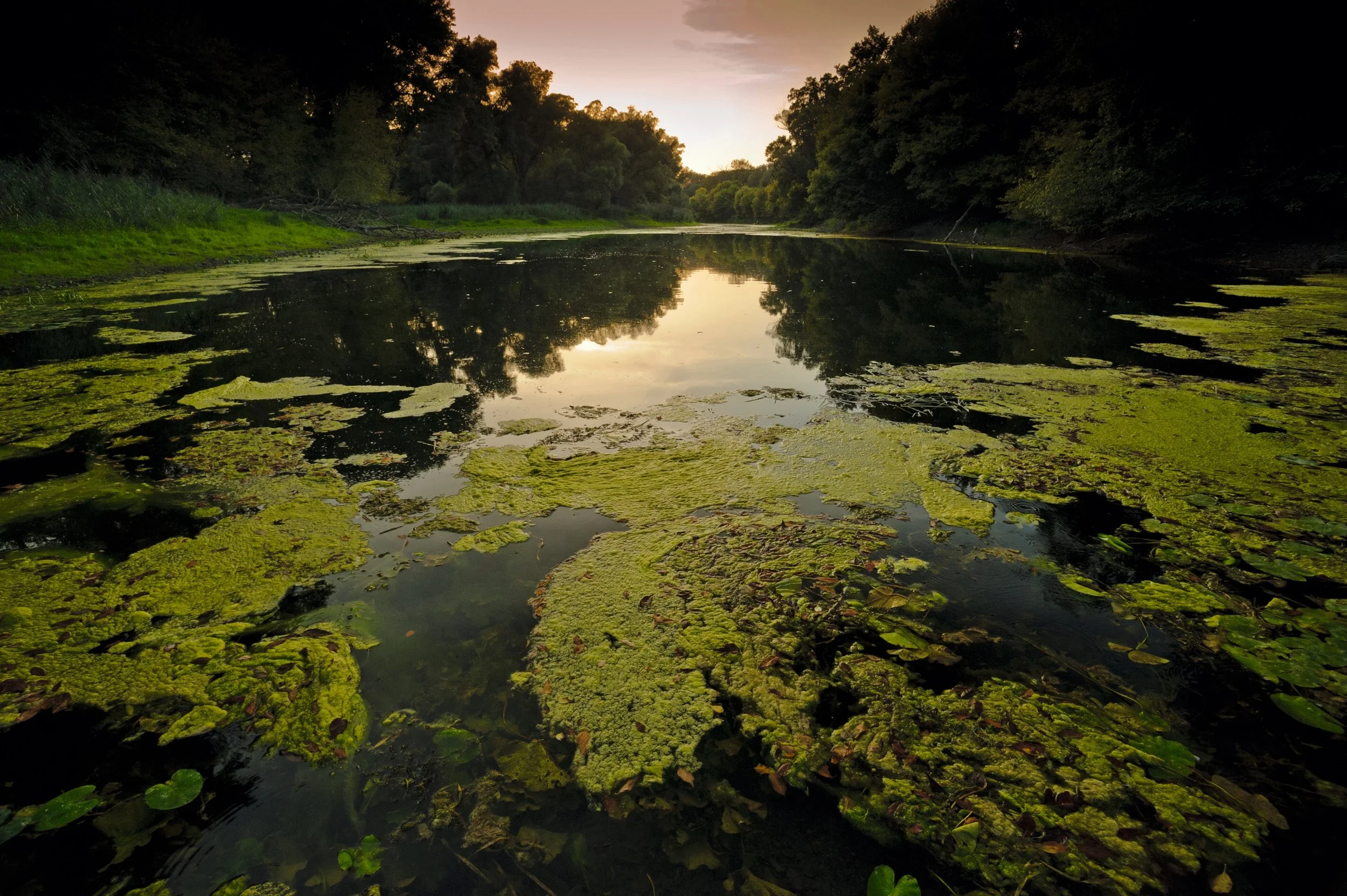 Braucht es den Lobautunnel?