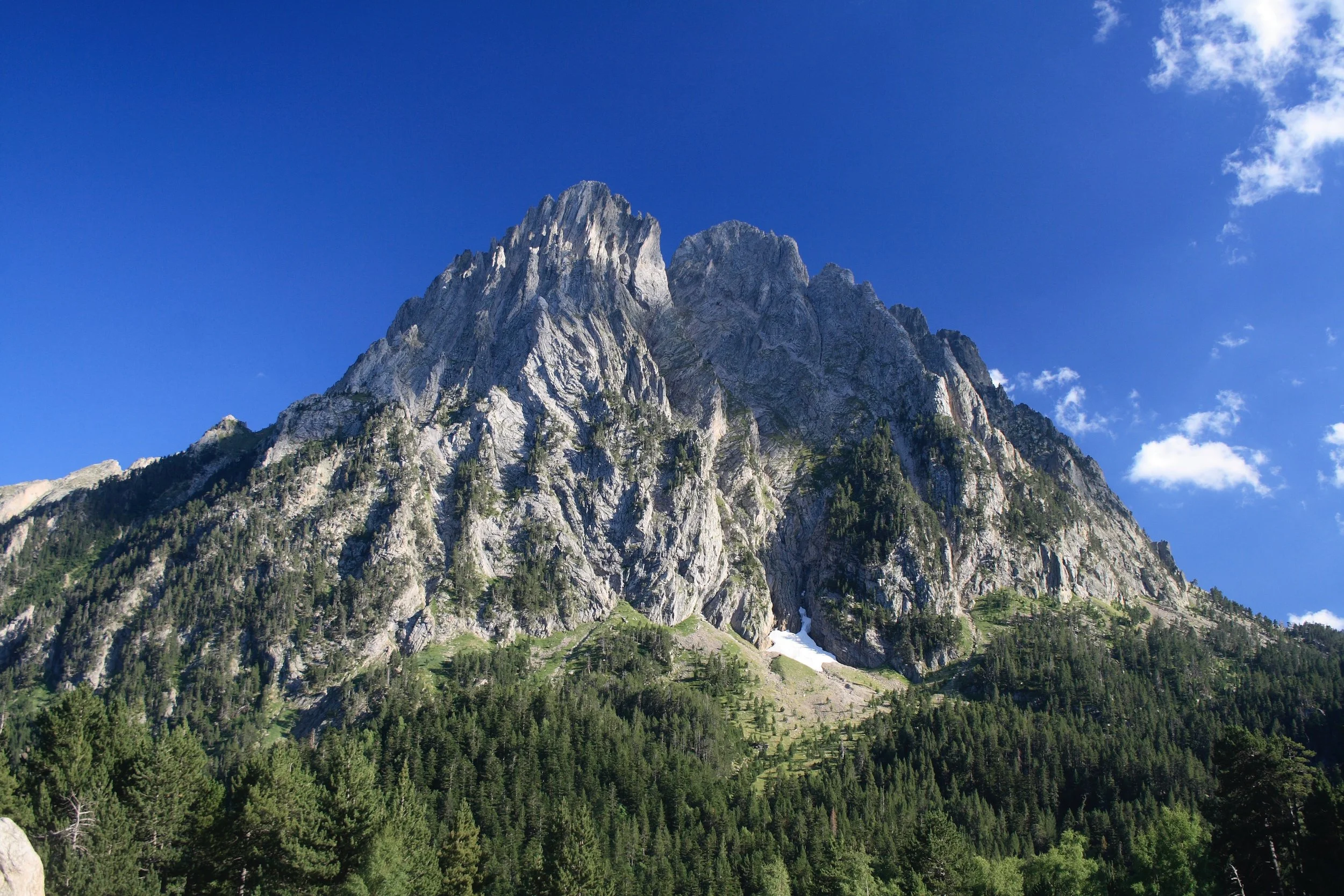 Die Frauen und der Gipfel