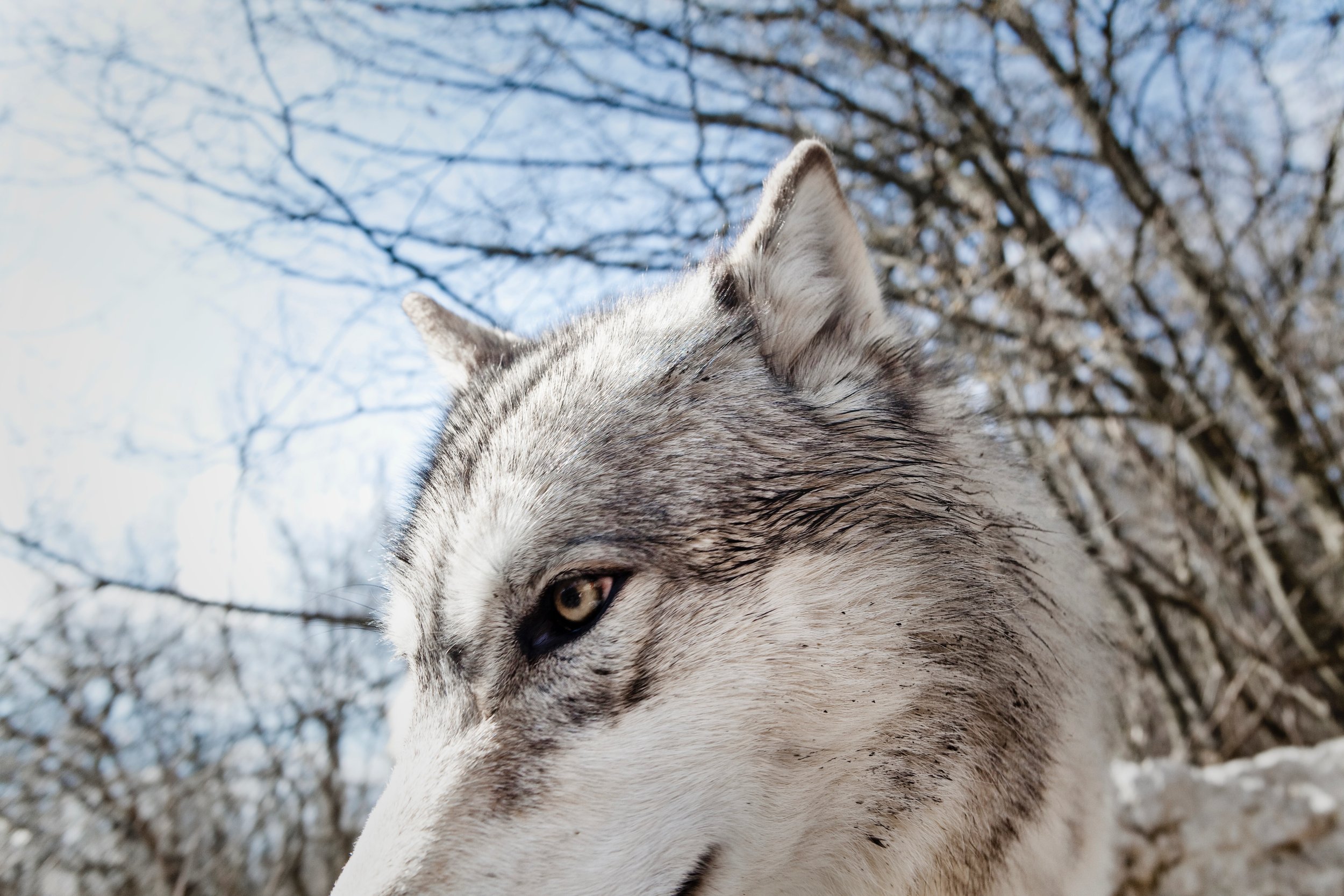 Wer hat Angst - vor wem?