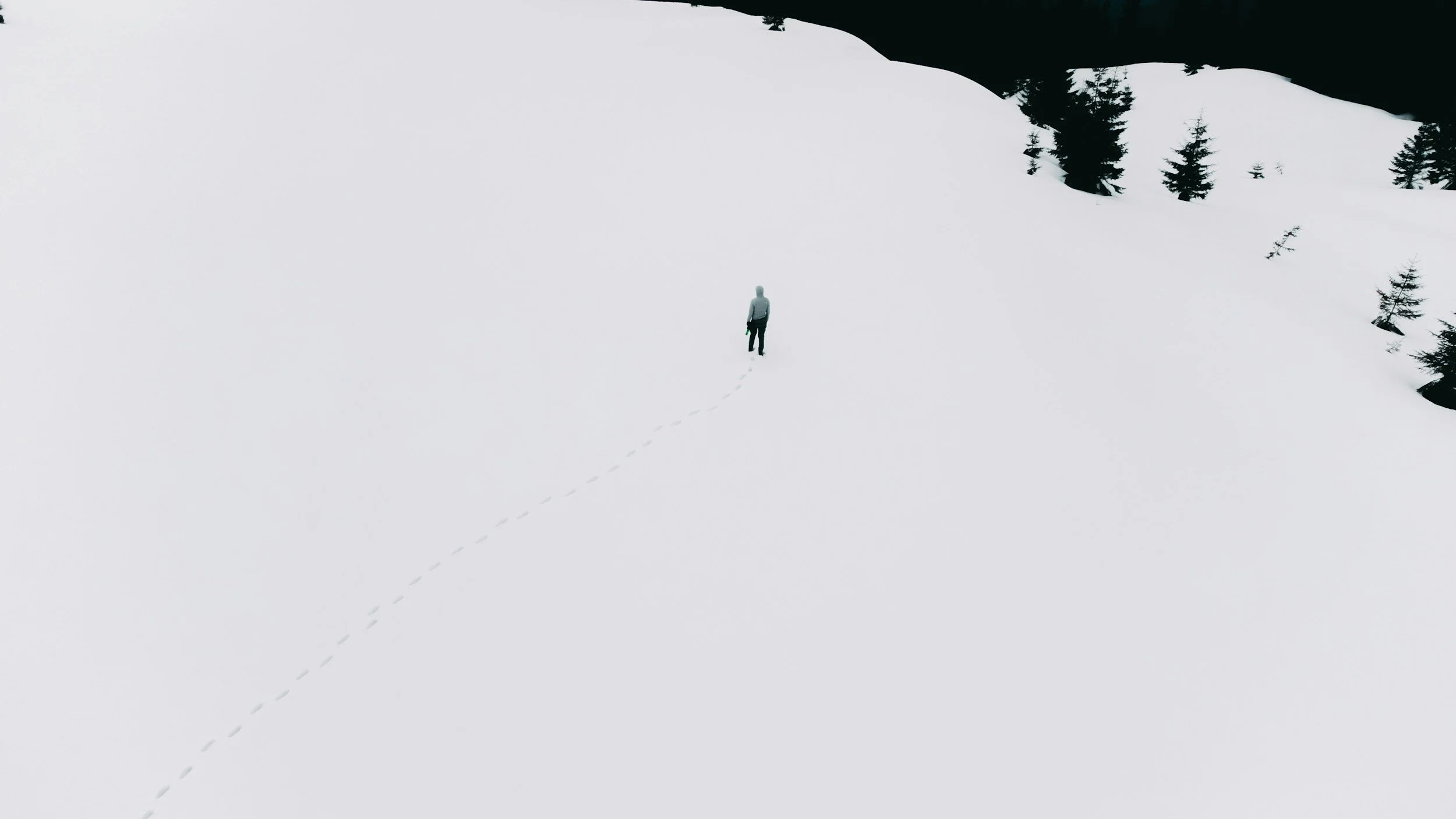 Navigating Layoffs with Compassion: Small Acts That Make a Big Difference