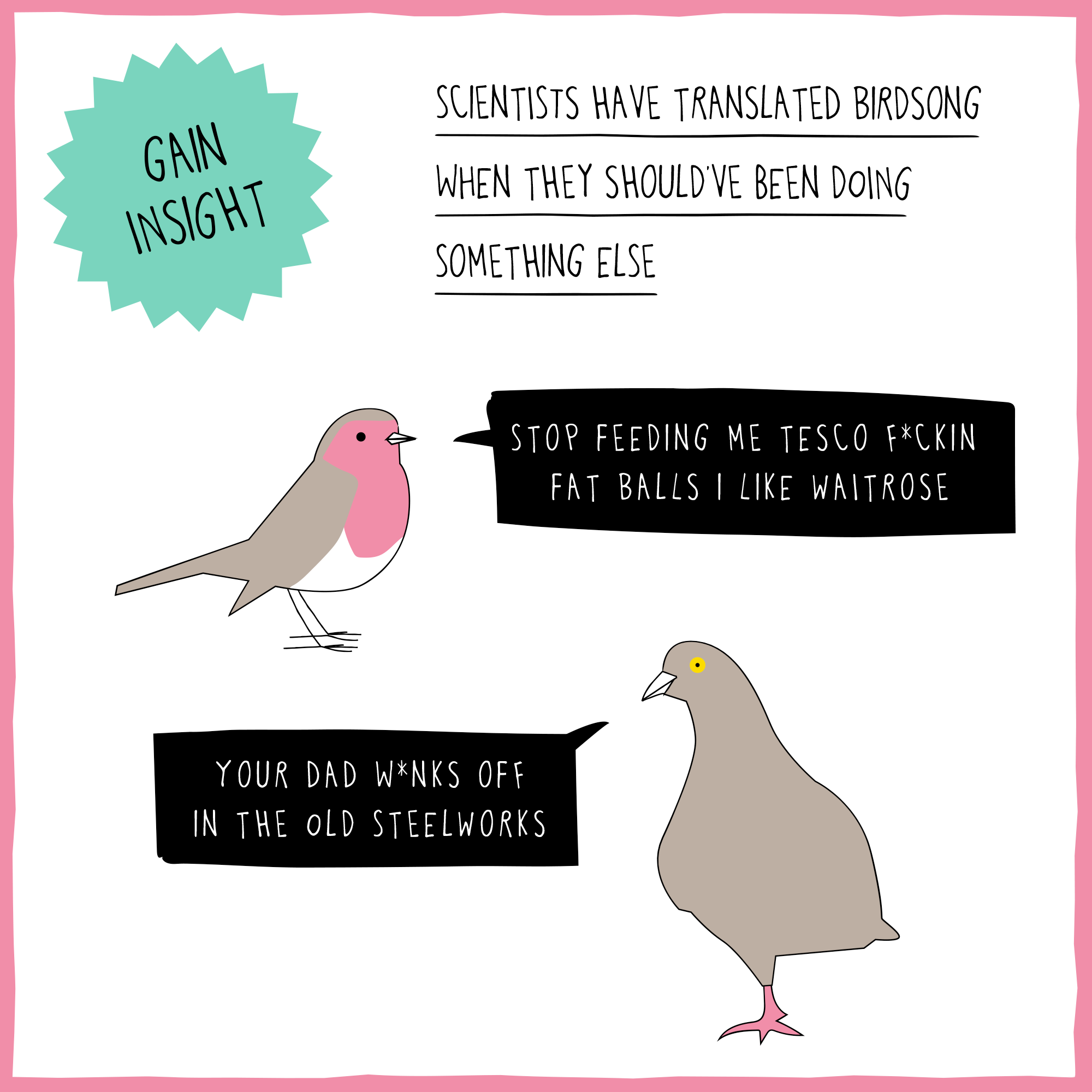 Birds.png