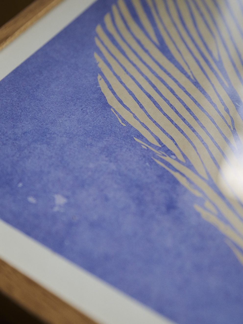 Rebecca_Hein_Sea_Lavender_Close_Up_Low_Res.jpeg