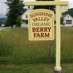 Sunshine Valley Berry Farm