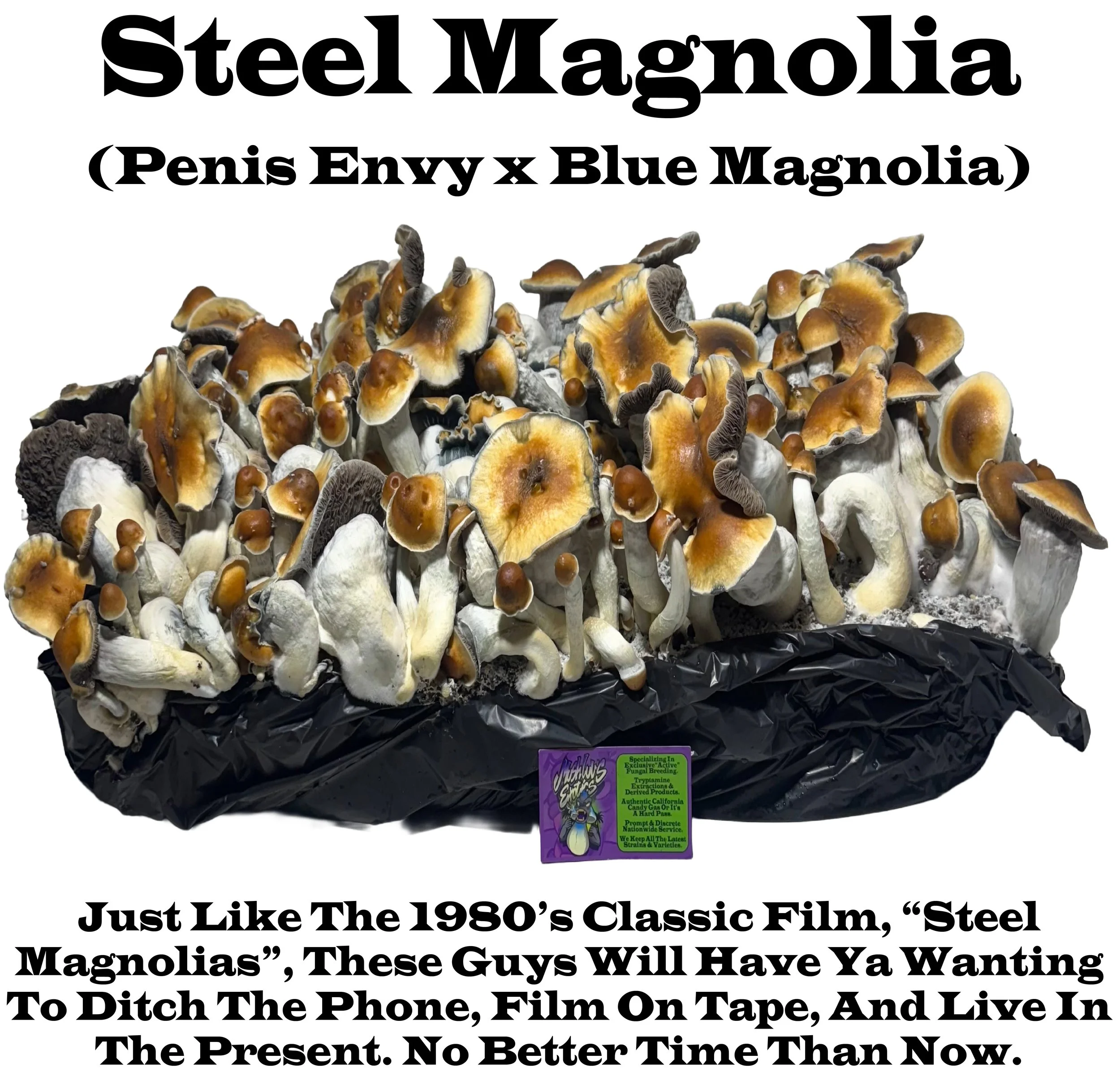 Steel Magnolia Tub Label Squared.jpg