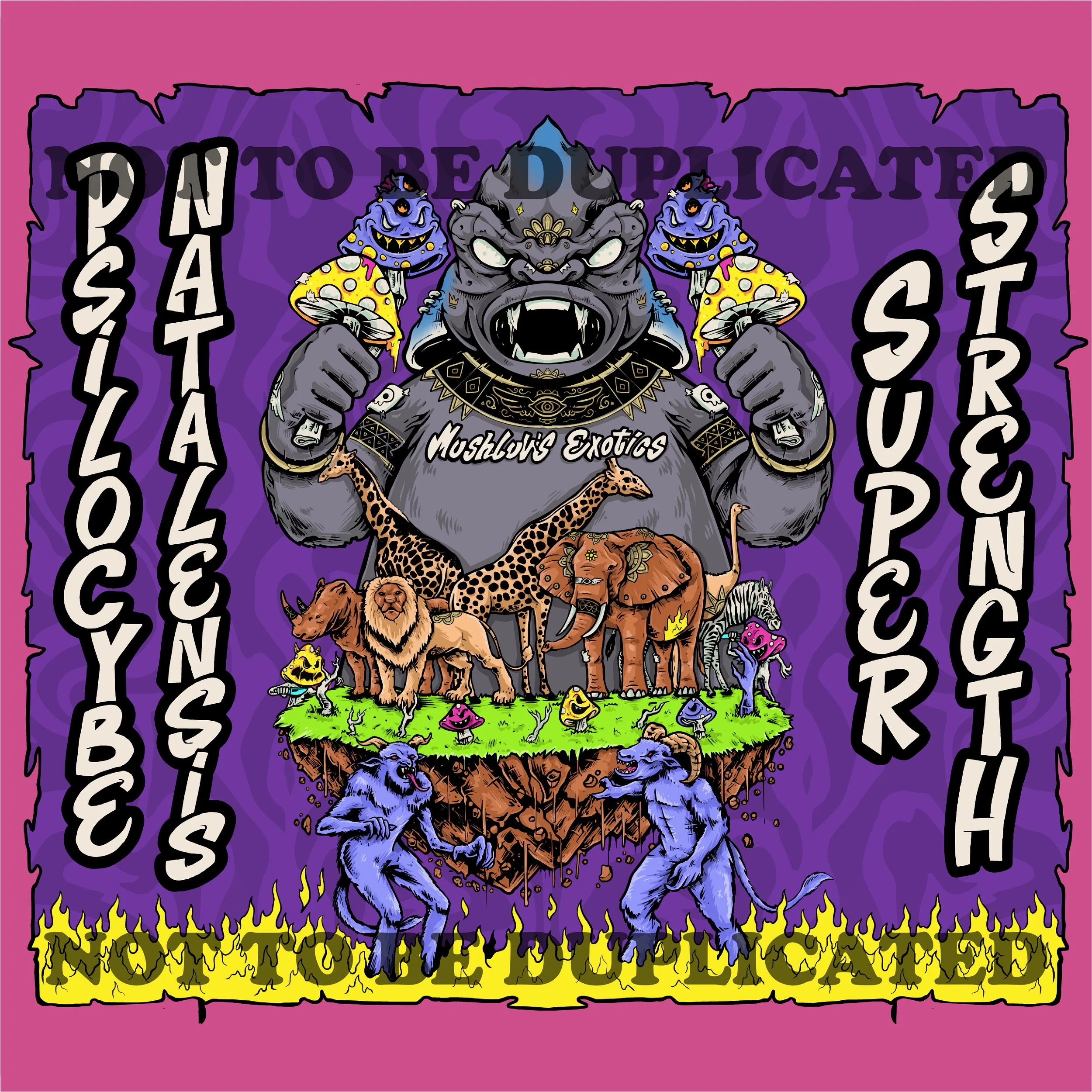 P. Nata SS Not To Be Duplicated Template.jpg