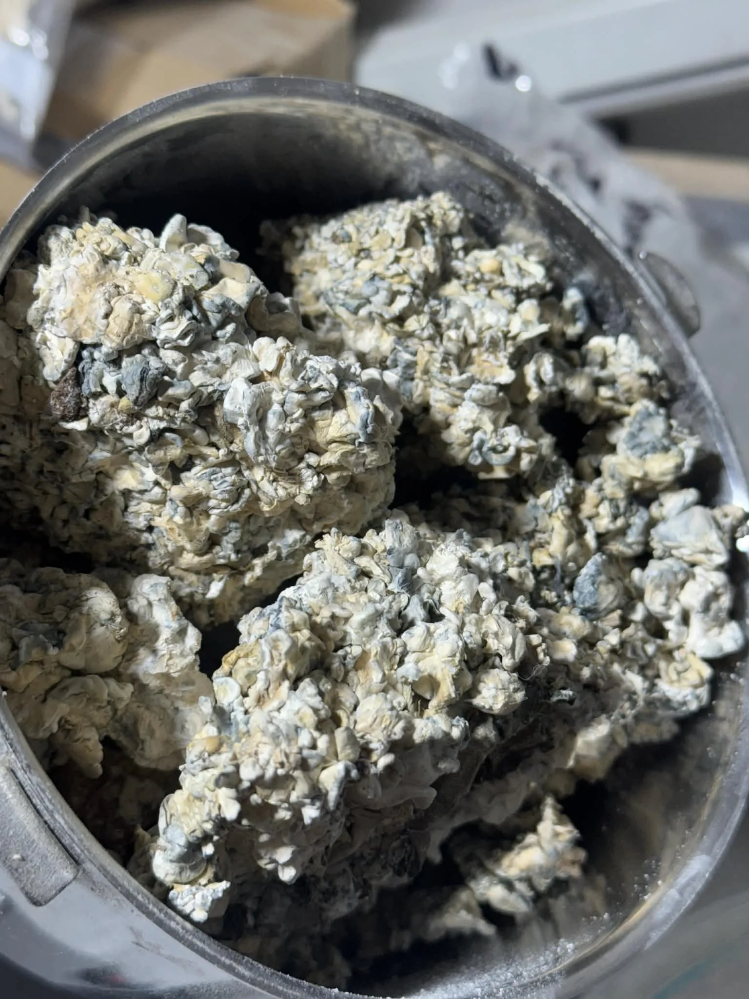 Freeze Dried Powder