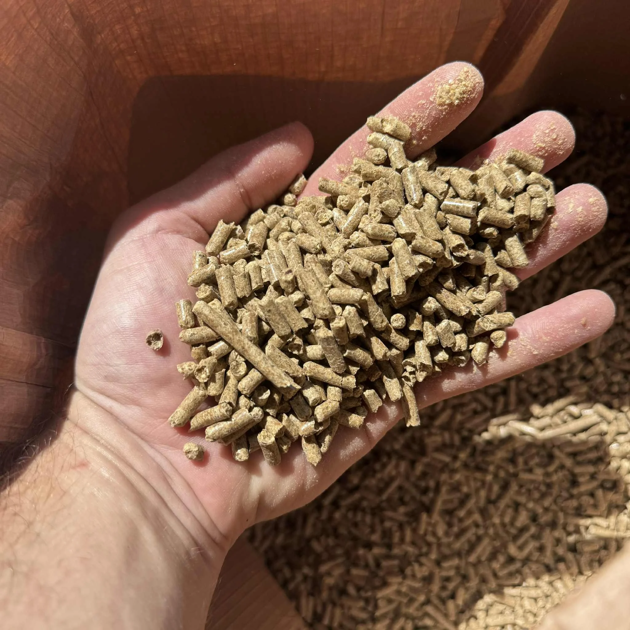 92a8fa17-0e73-4cb3-8ed5-8a02dc2023c2.jfif