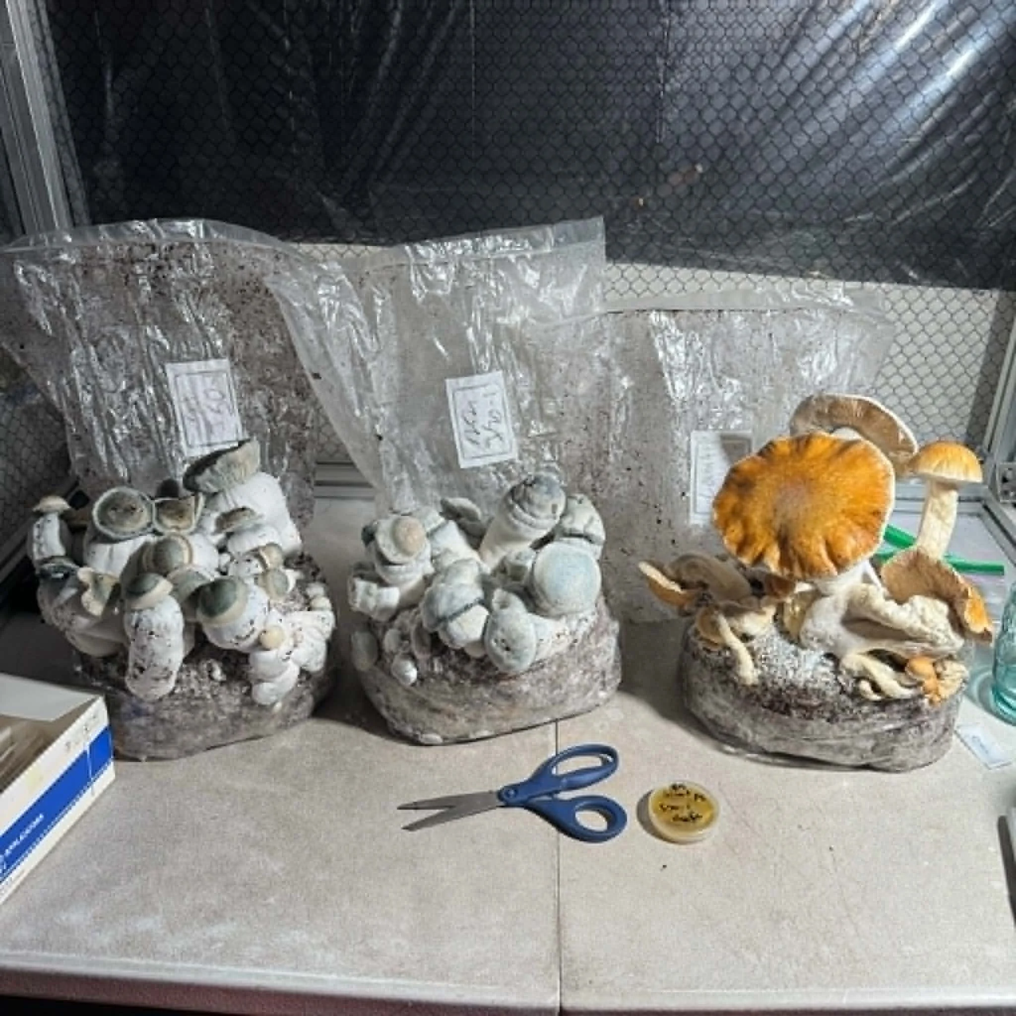 14ed7897-4e6d-425e-acbd-74e573148806.jfif