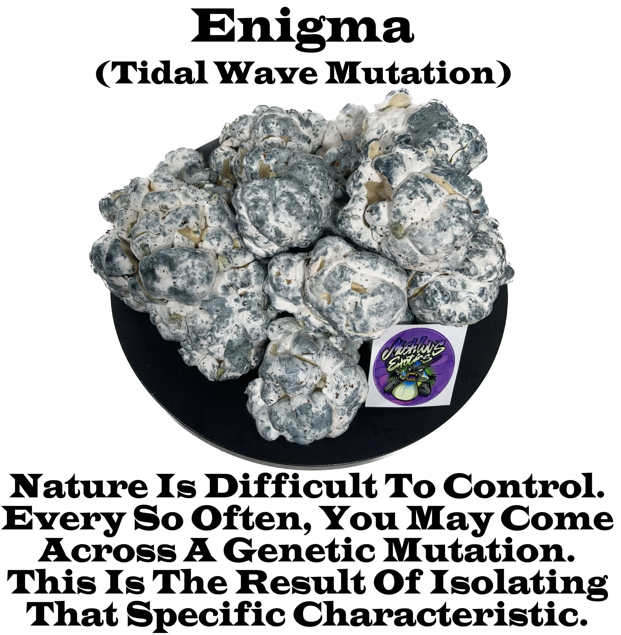 Enigma- Isolated By Dave Wombat