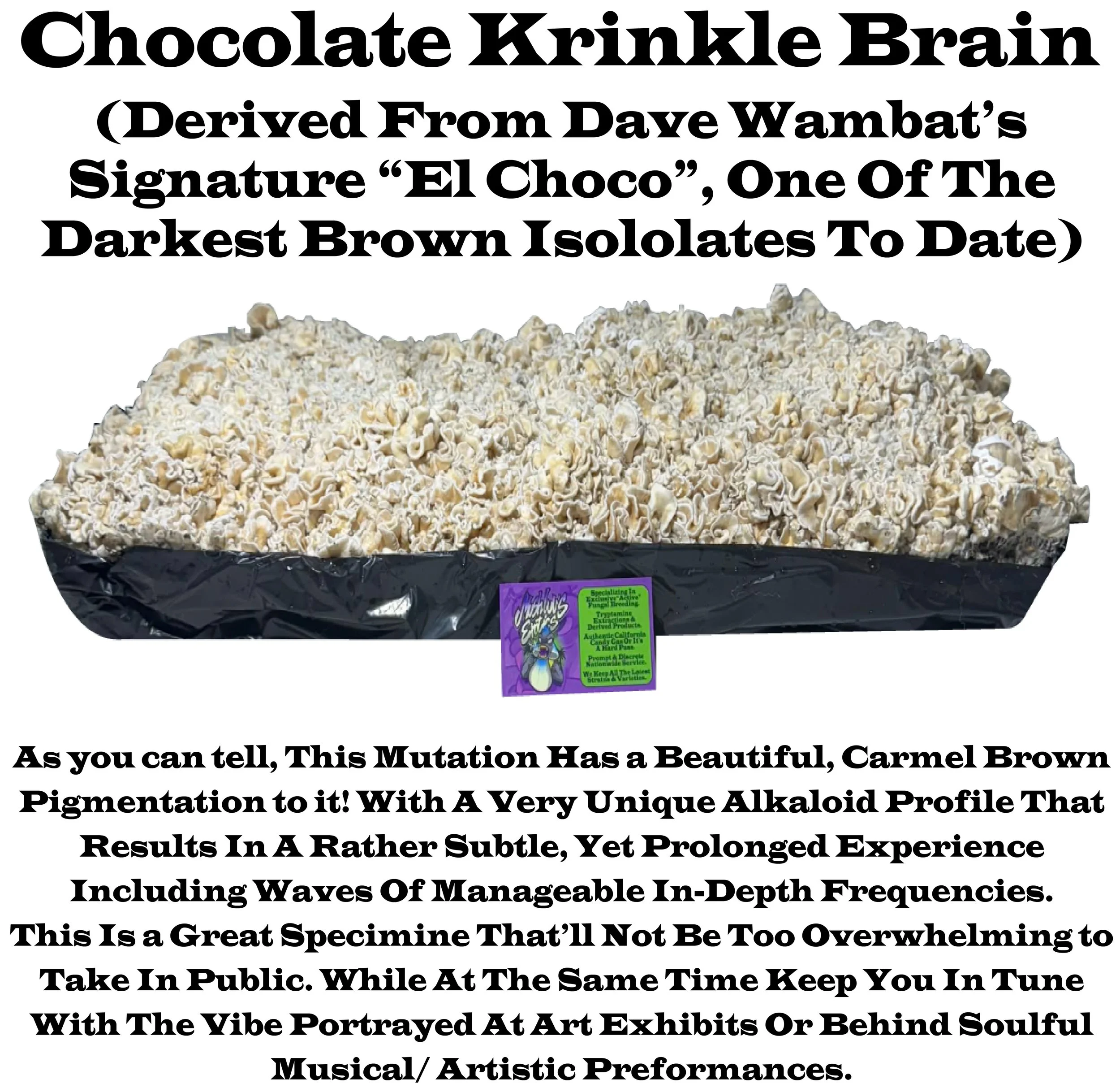 Chocolate Krinkle Brains