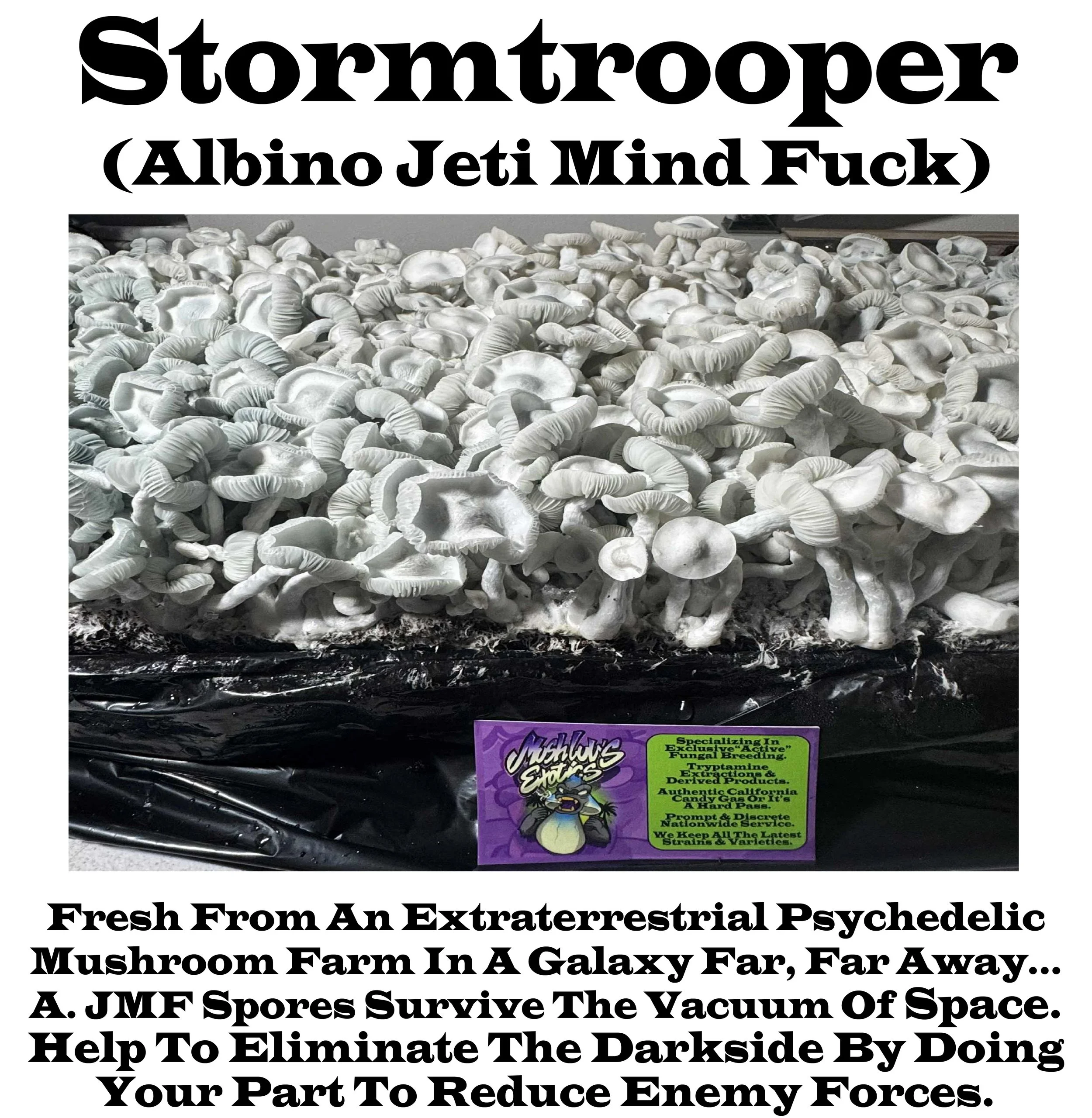 Stormtrooper Bag Label V2.jpg