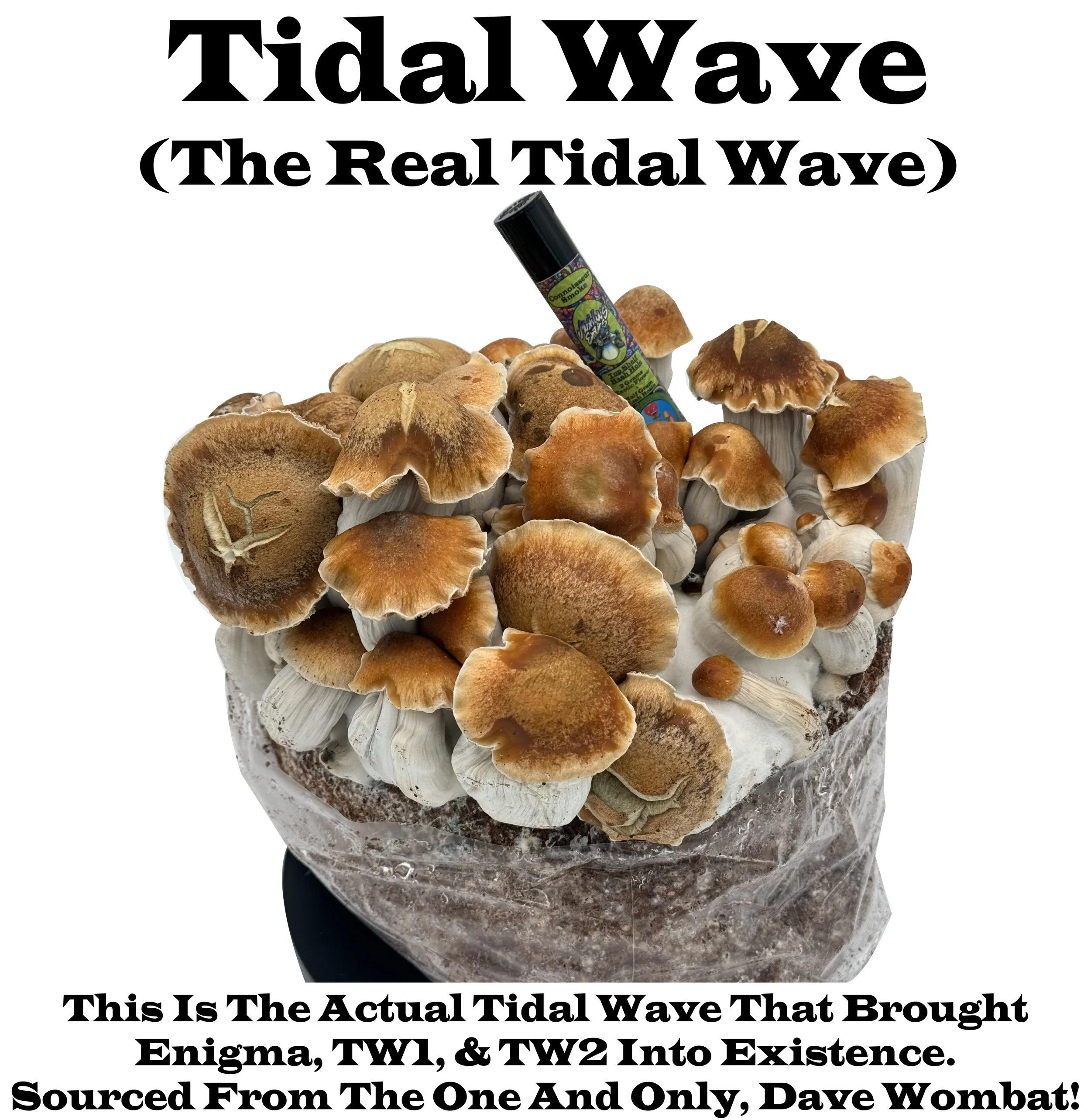 Tidalwave