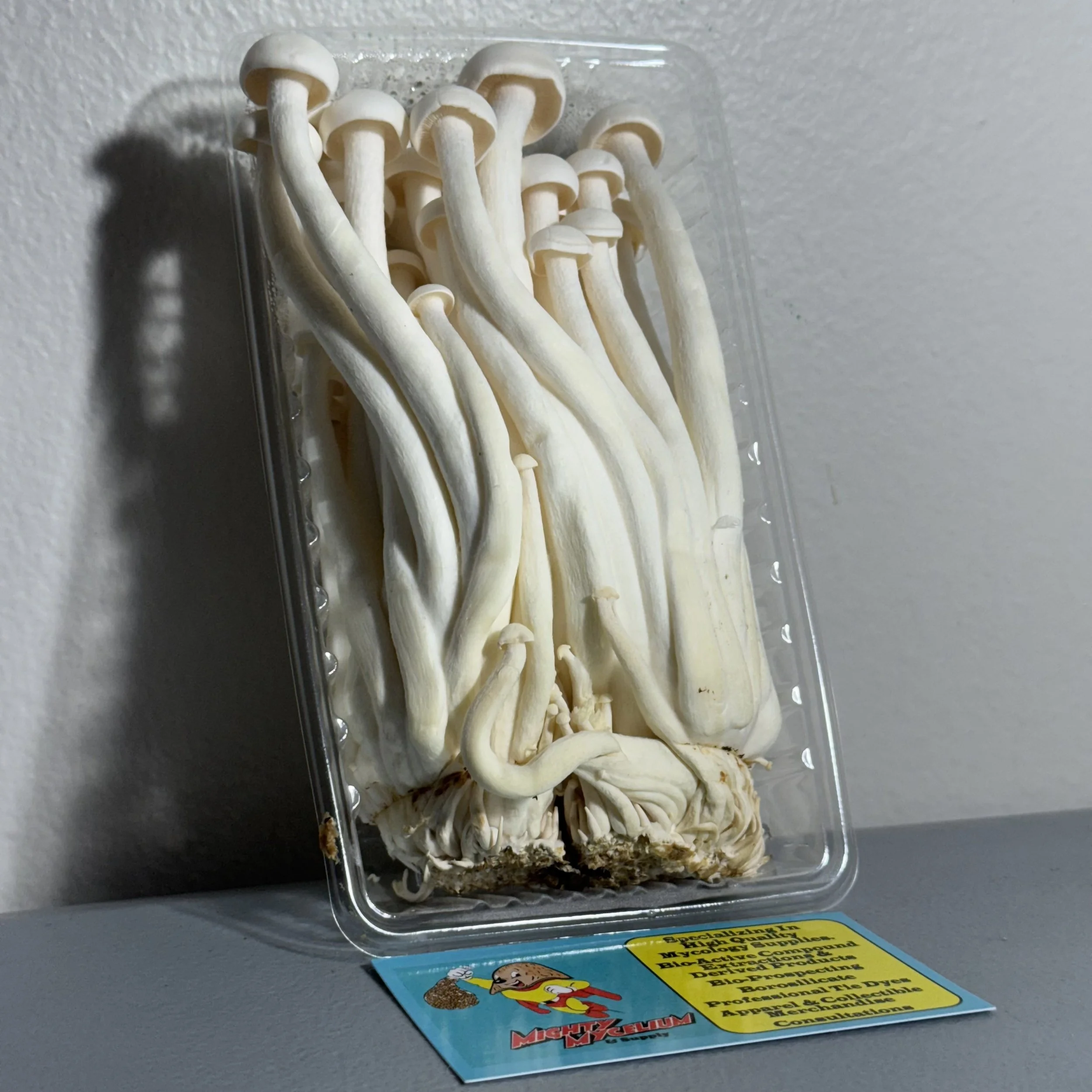 Photo Jul 26 2026, 10 52 51 PM.jpg