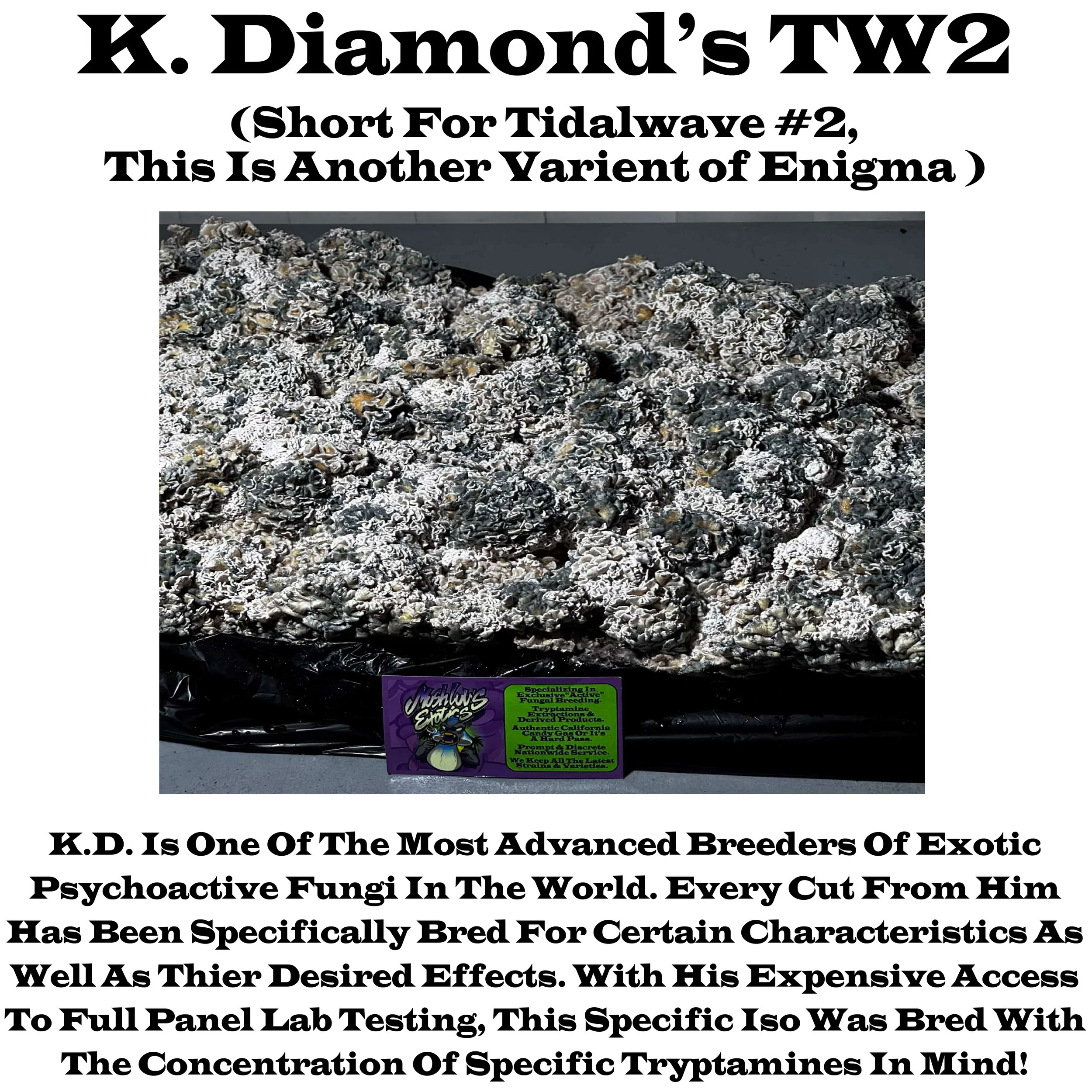 KD's TW2 Fruit Bag Label.jpg