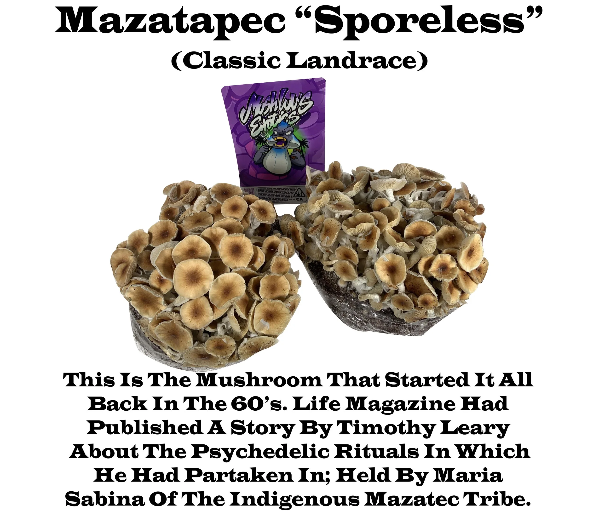Mazatec