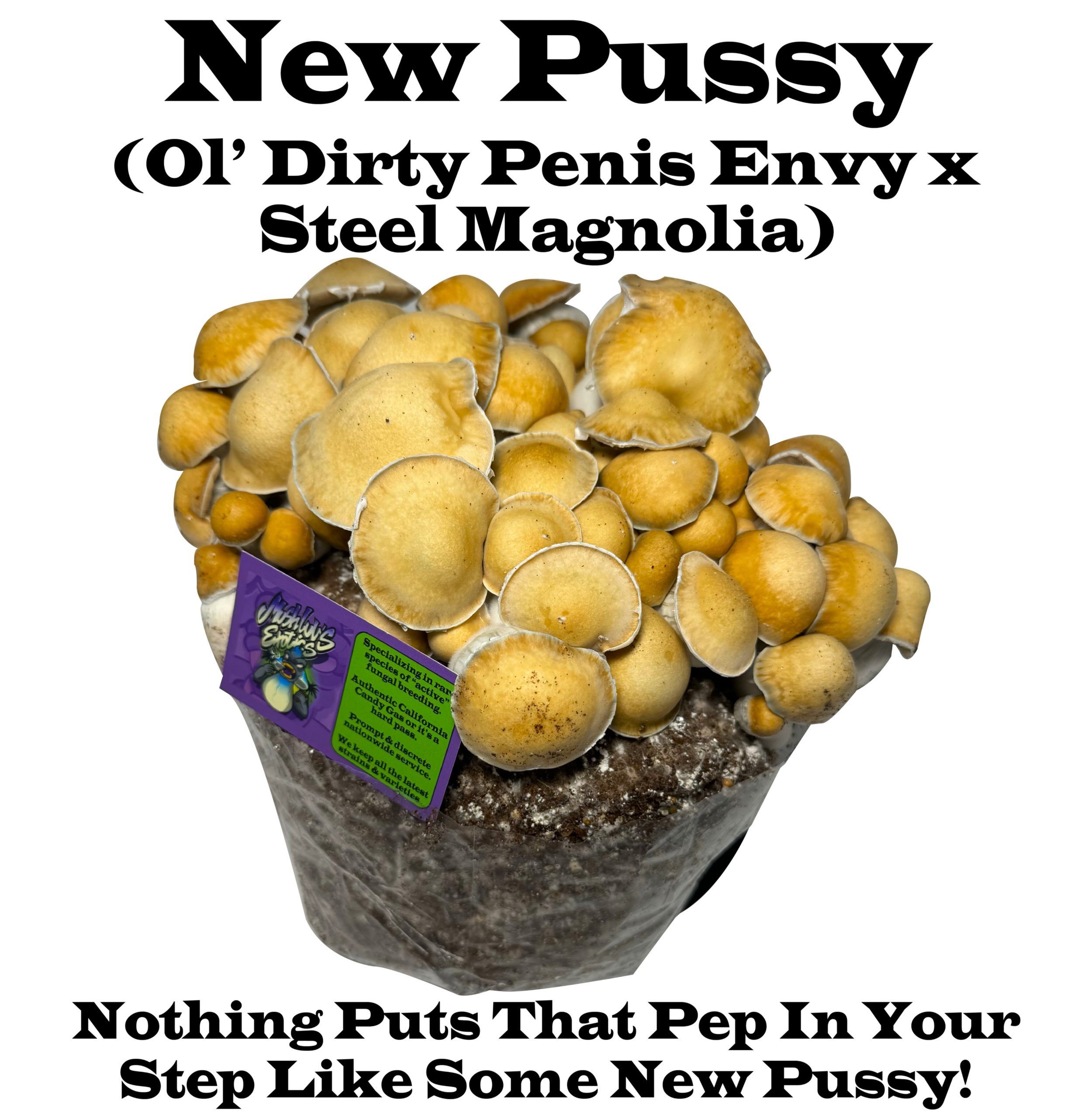 New Pussy (Steel Mag X Ol' Dirty Penis Envy