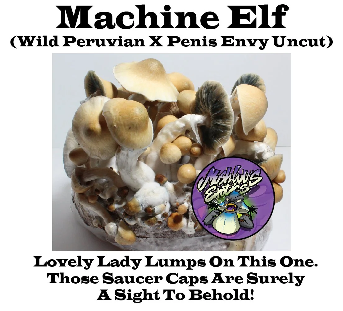 Machine Elf (Wild Peruvian X Penis Envy Uncut)