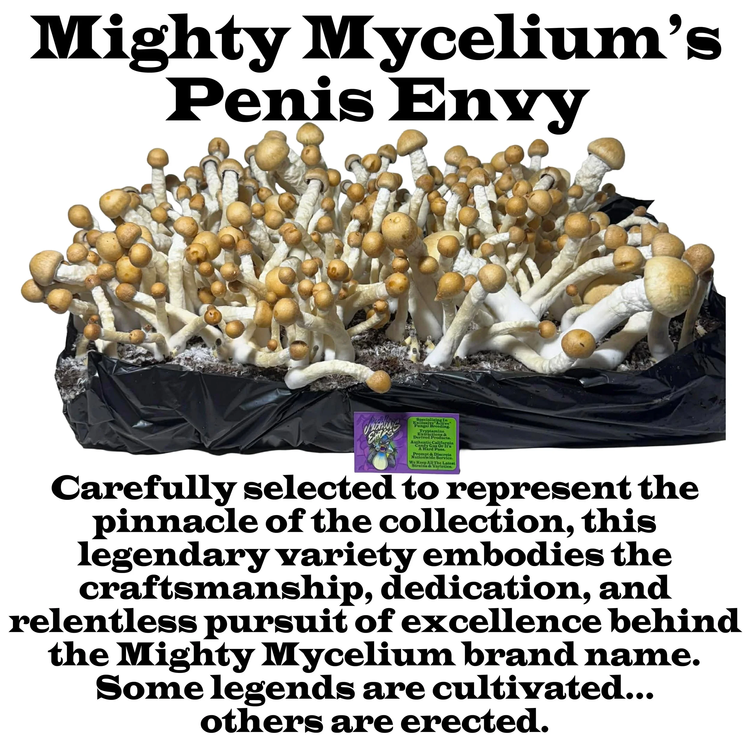 Mighty Mycelium's Penis Envy